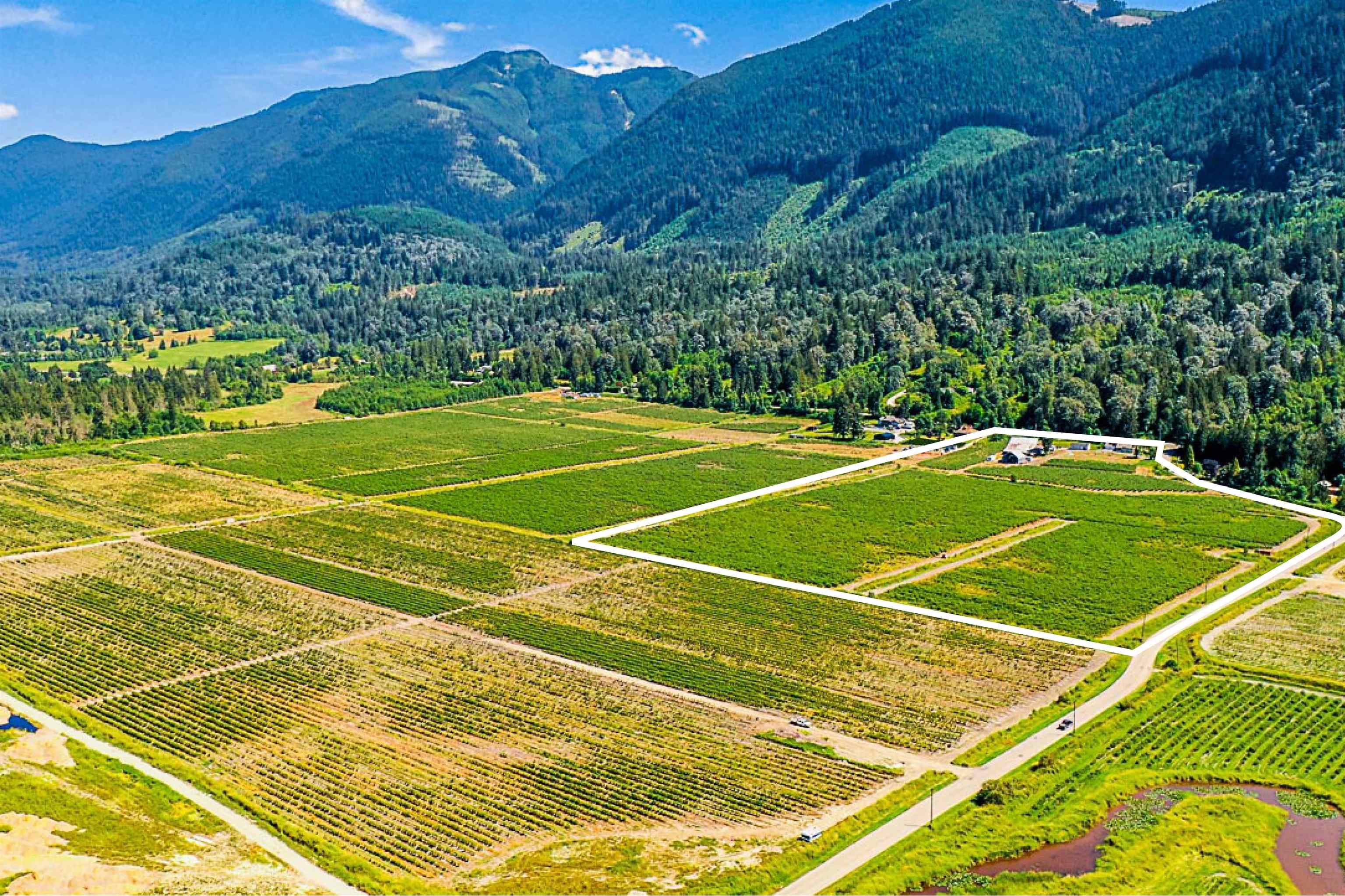 10931 SYLVESTER ROAD, Mission, British Columbia, ,Agri-business,For Lease,C8052057