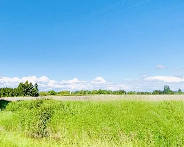 13091 NO. 3, Richmond, British Columbia, ,Land Only,For Sale,R2467607