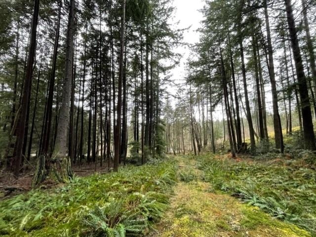 1805 CAPE, Bowen Island, British Columbia , Land Only,For Sale, MLS-R2665278