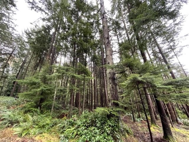1805 CAPE, Bowen Island, British Columbia , Land Only,For Sale, MLS-R2665278