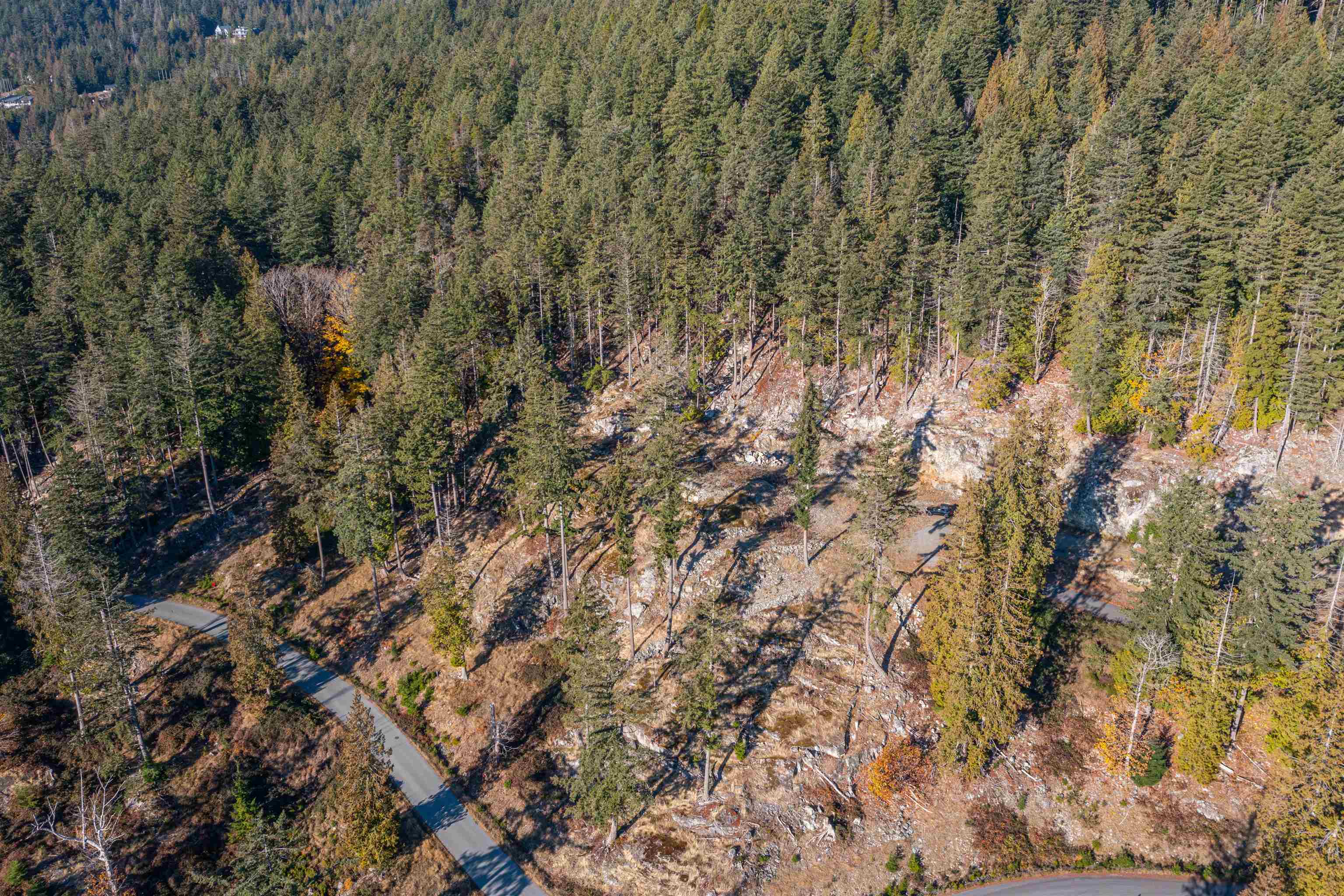 Wilson Lam Realtor, 826 SEYMOUR BAY, Bowen Island, British Columbia V0N 1G2, Land Only,For Sale ,R2742298