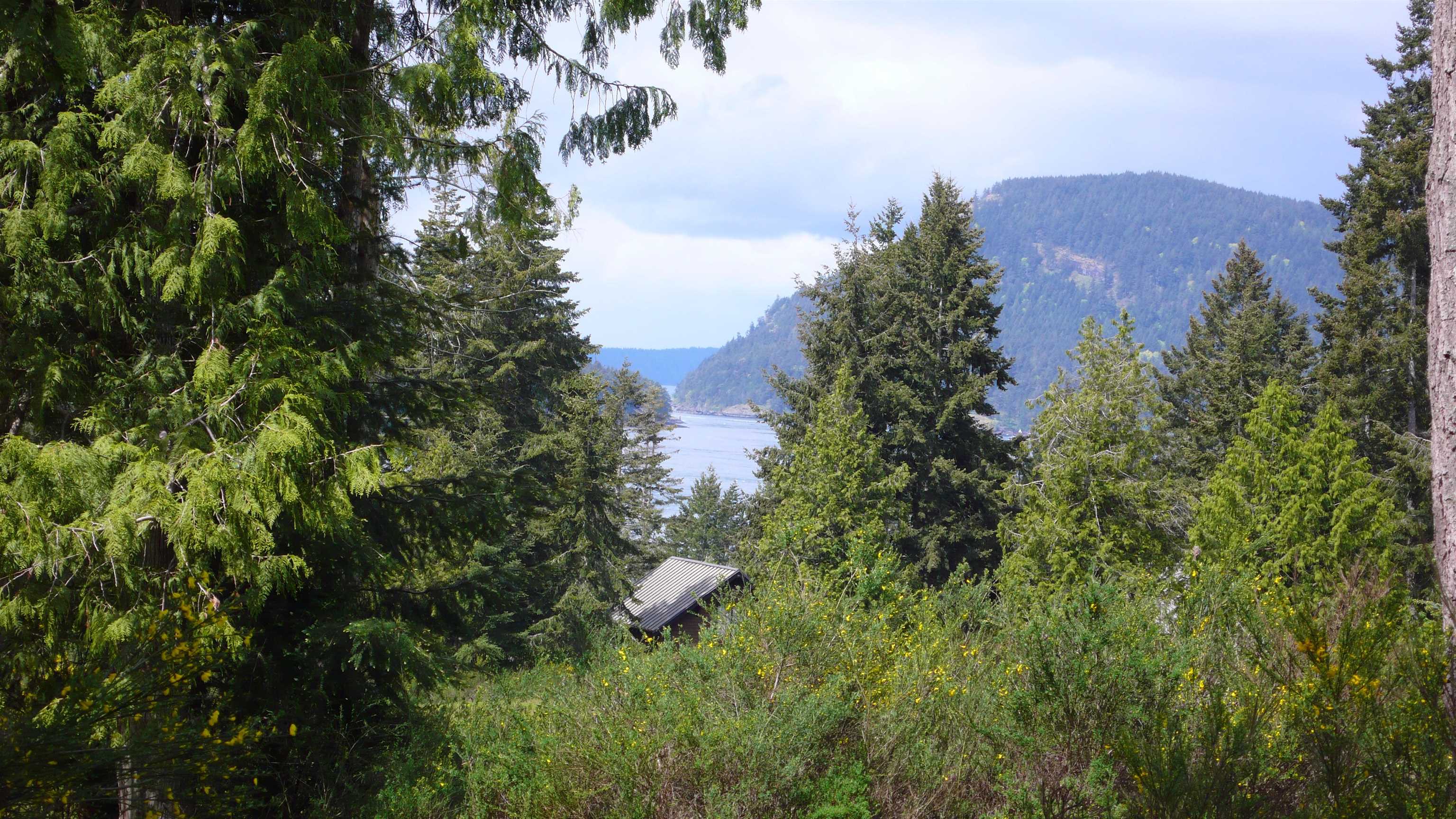 Listing image of 415 CAMPBELL BAY ROAD