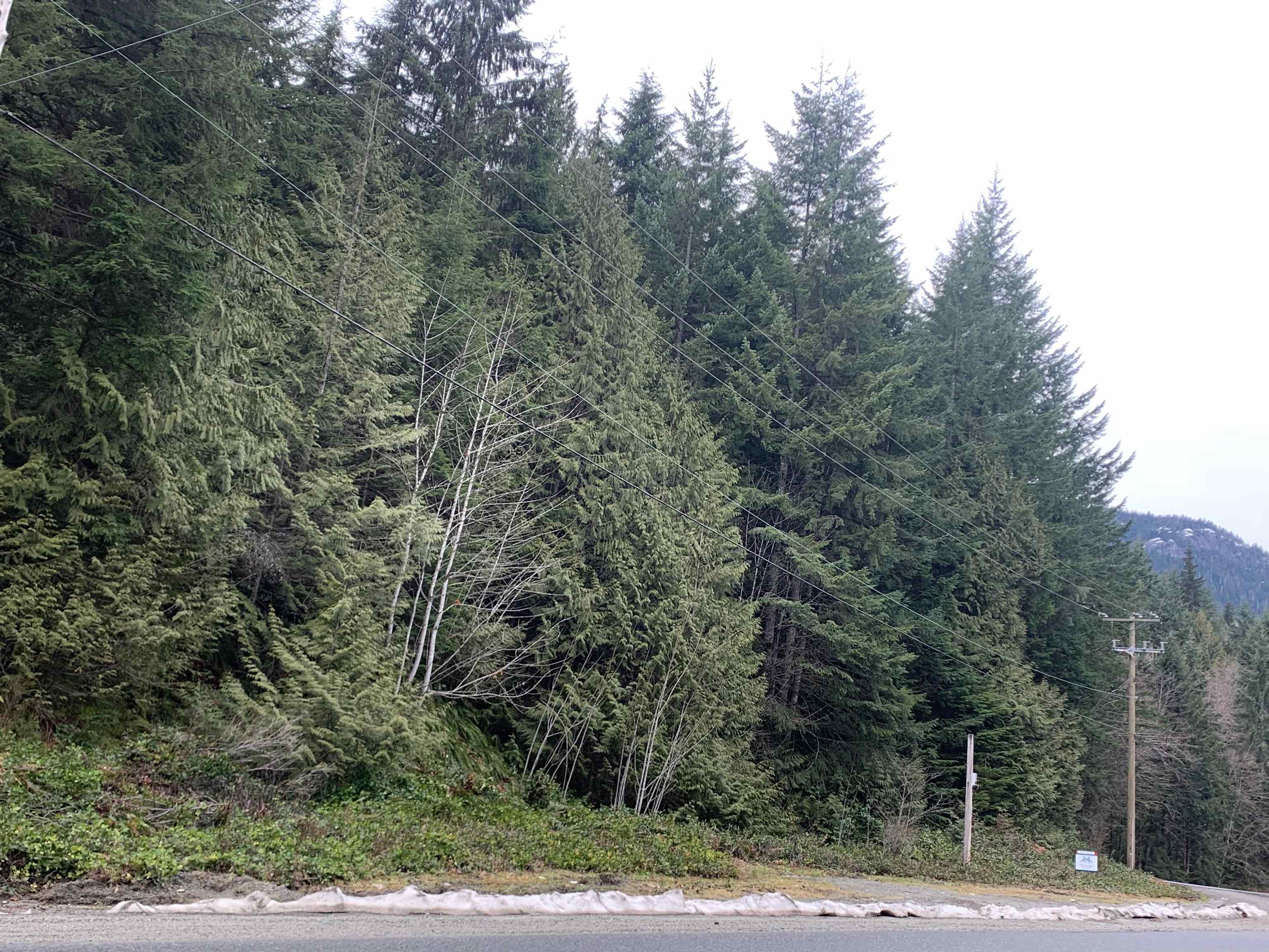 Lot 1 DL 4454 PORT MELLON, Gibsons, British Columbia, ,Land Only,For Sale,R2759503