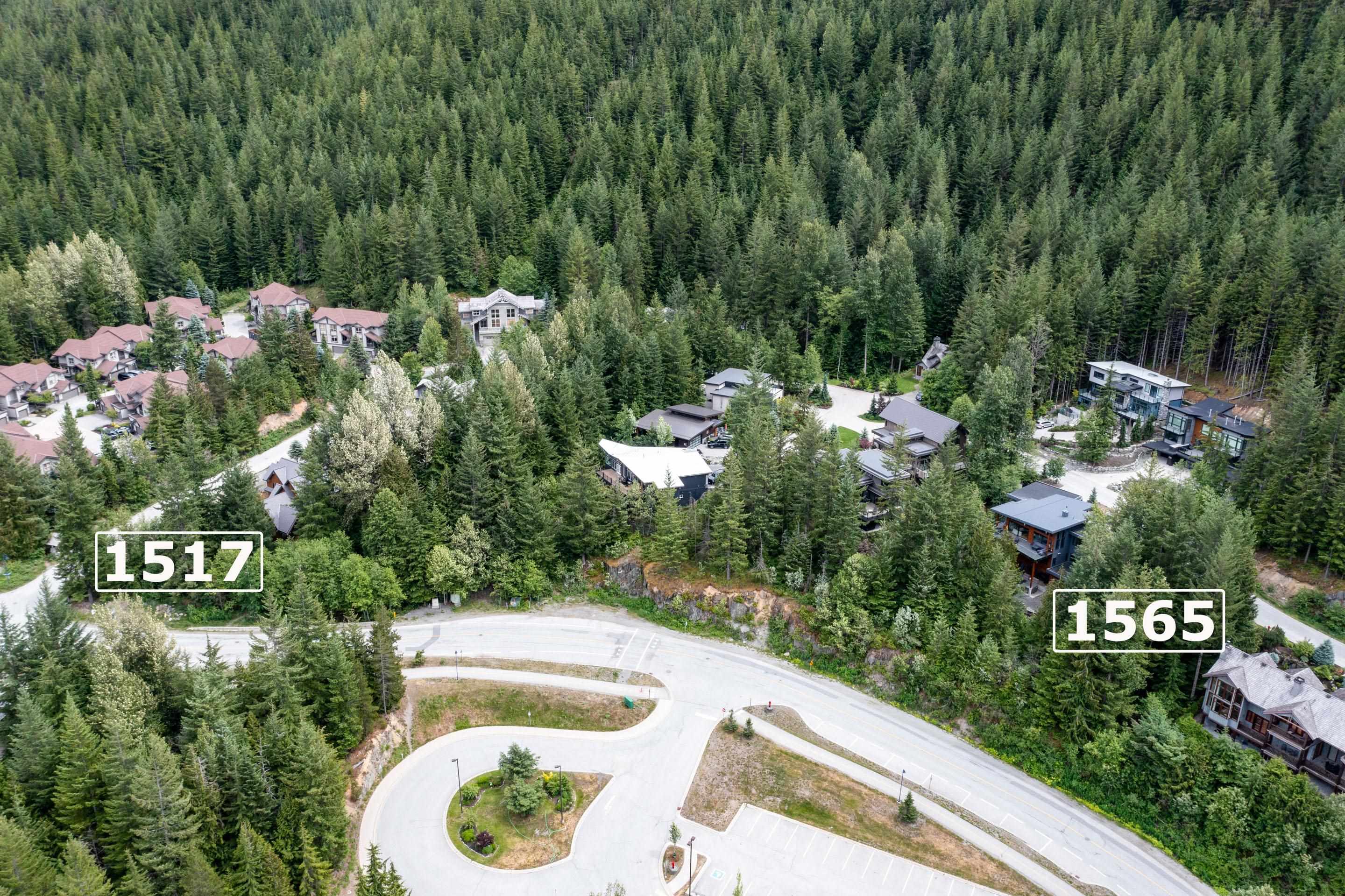 Wilson Lam Realtor, 1517 TYNEBRIDGE, Whistler, British Columbia V8E 0A3, Land Only,For Sale ,R2763979