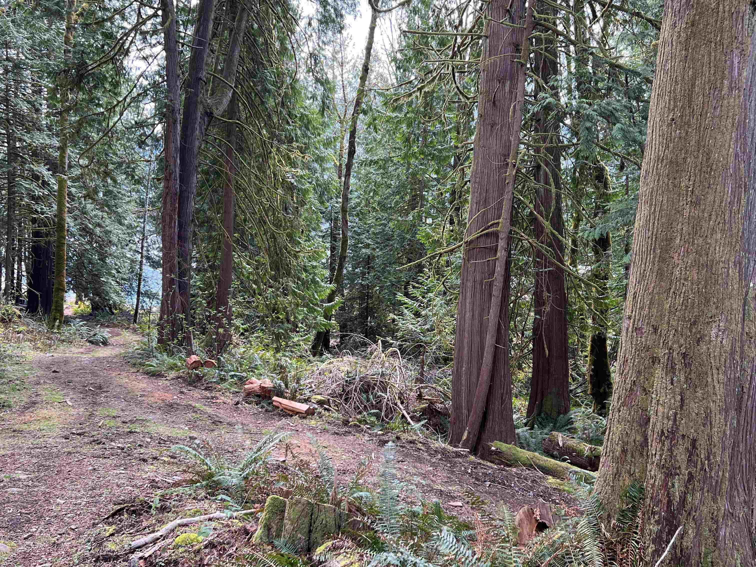 Michael Sung, DISTRICT LOT 5270, Egmont, British Columbia, Land Only,For Sale ,R2767611