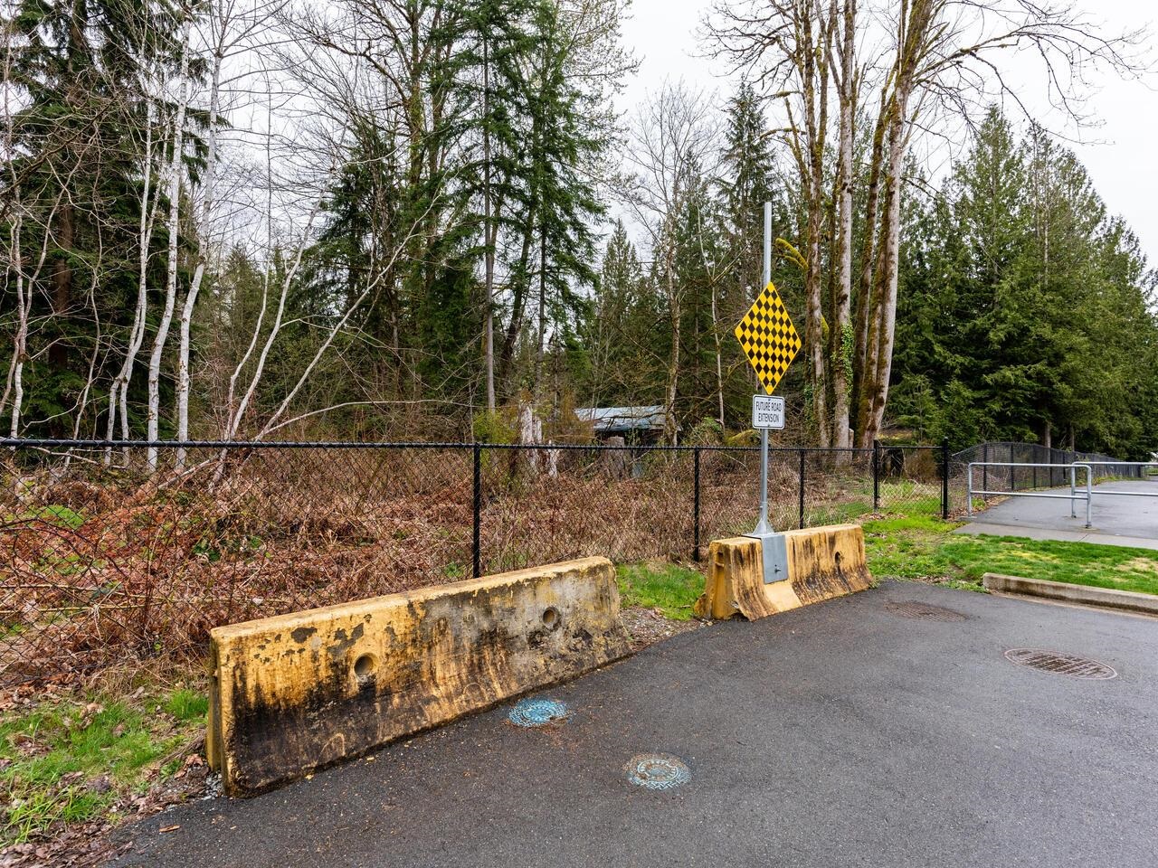Wilson Lam Realtor, 24115 FERN, Maple Ridge, British Columbia V4R 2S1, Land Only,For Sale ,R2772364