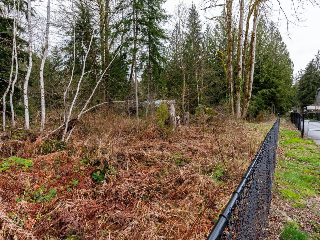 Wilson Lam Realtor, 24115 FERN, Maple Ridge, British Columbia V4R 2S1, Land Only,For Sale ,R2772364