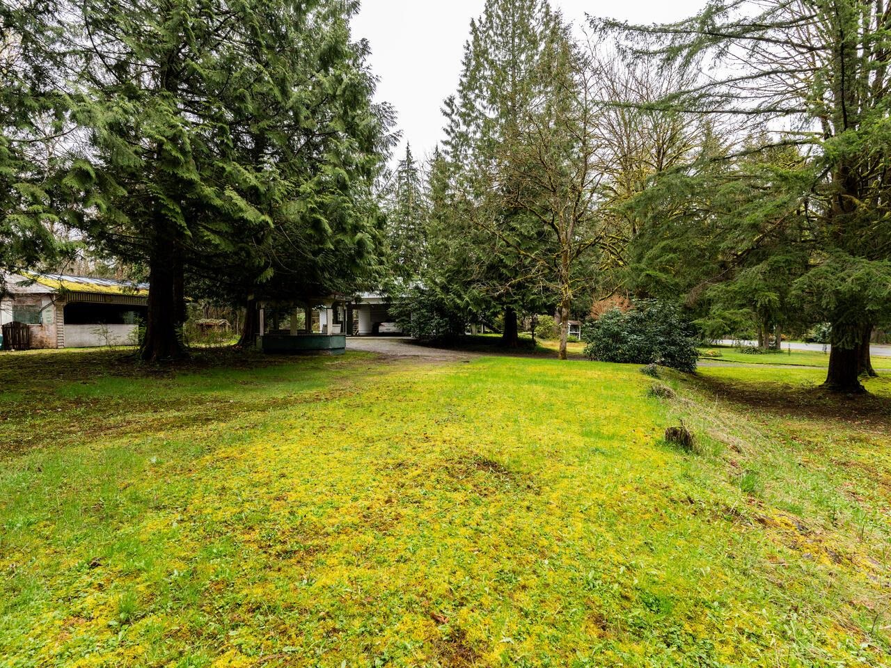Wilson Lam Realtor, 24115 FERN, Maple Ridge, British Columbia V4R 2S1, Land Only,For Sale ,R2772364