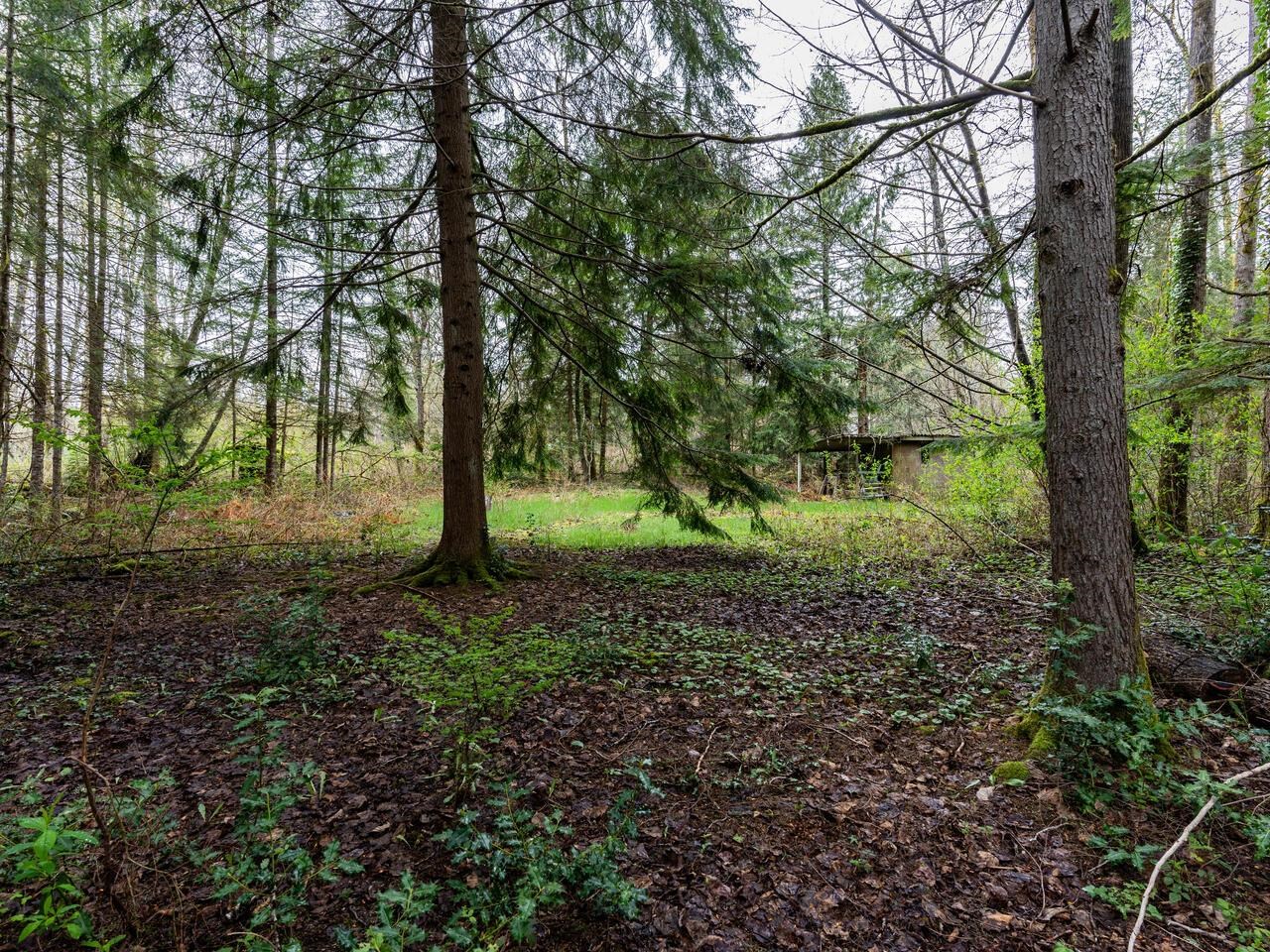 Wilson Lam Realtor, 24115 FERN, Maple Ridge, British Columbia V4R 2S1, Land Only,For Sale ,R2772364