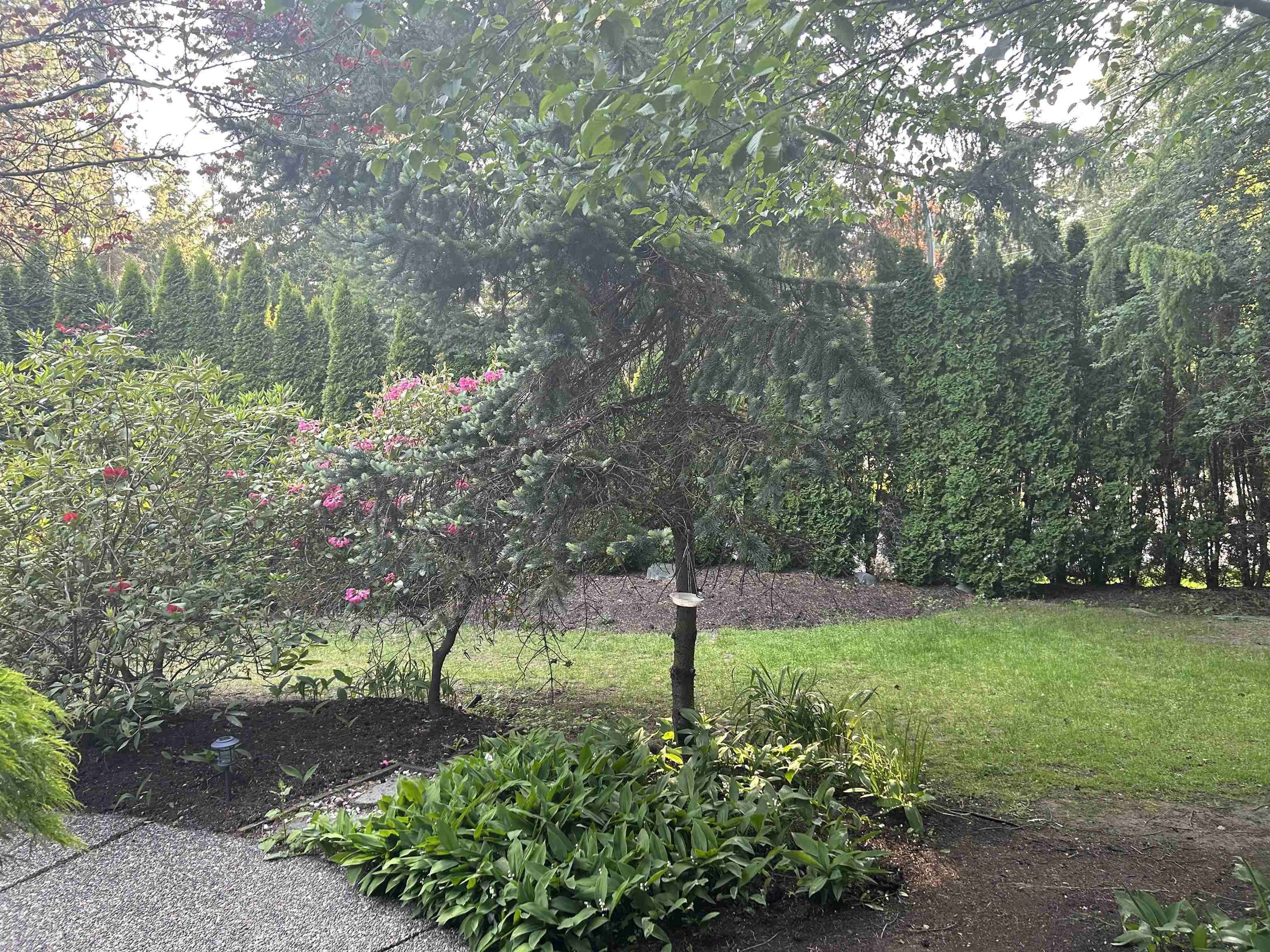 Elgin Chantrell House/Single Family for sale:  4 bedroom 3,610 sq.ft. (Listed 2023-05-26)