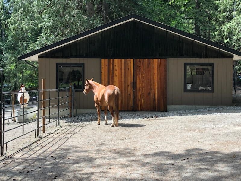 Three Horse Paddocks with Shelters