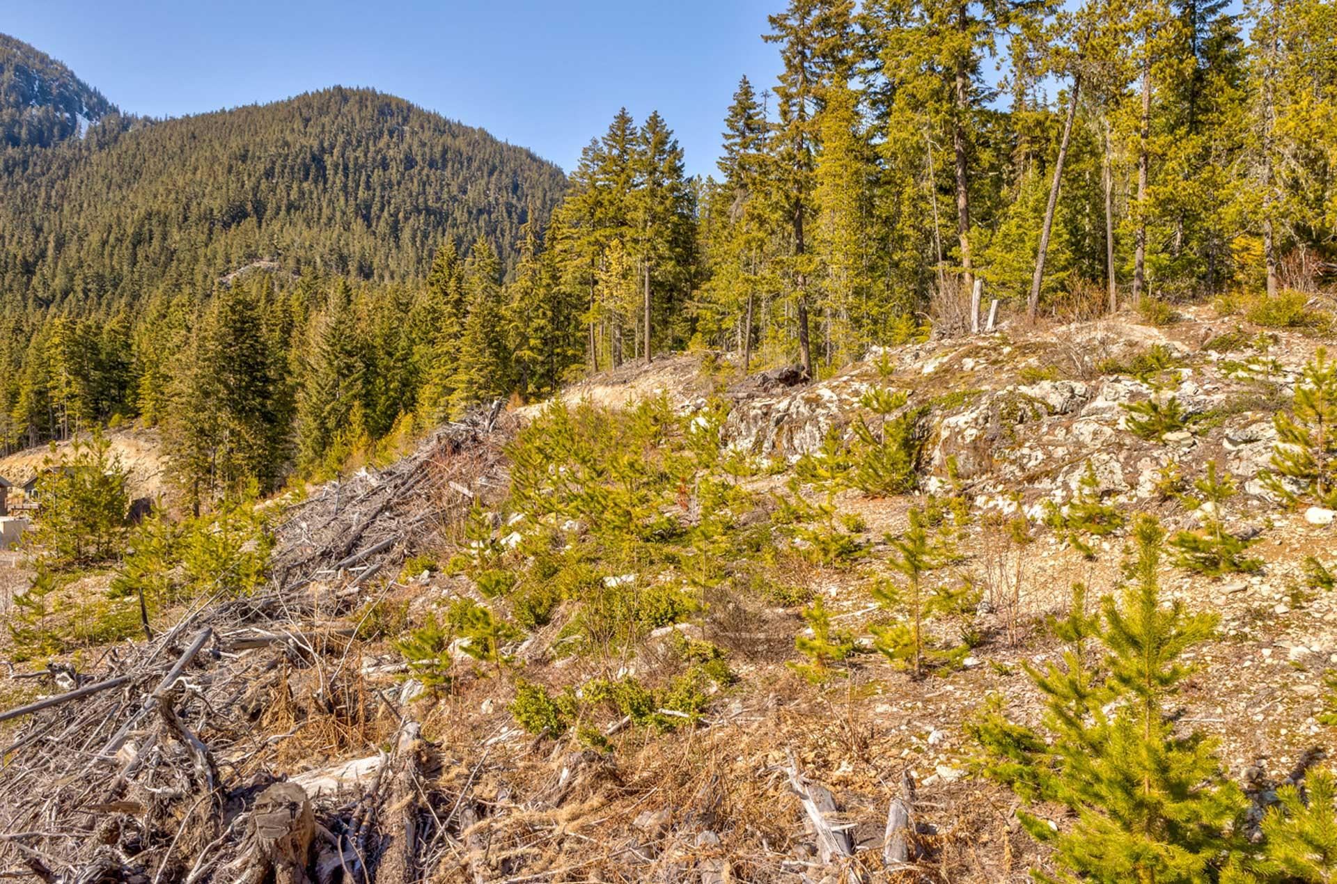 8437 SKI JUMP, Whistler, British Columbia, ,Land Only,For Sale,R2784186