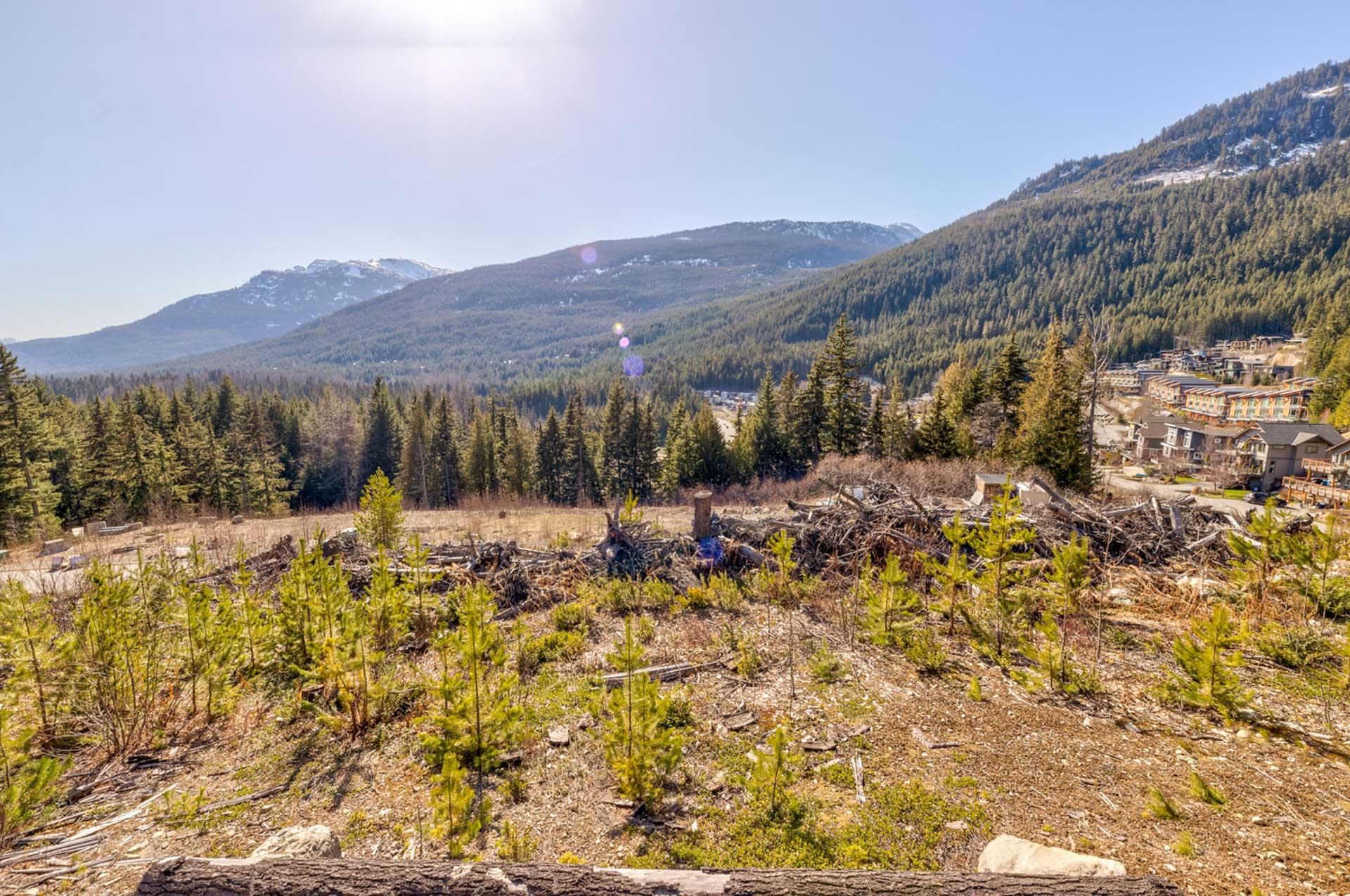 8421 SKI JUMP, Whistler, British Columbia, ,Land Only,For Sale,R2784258
