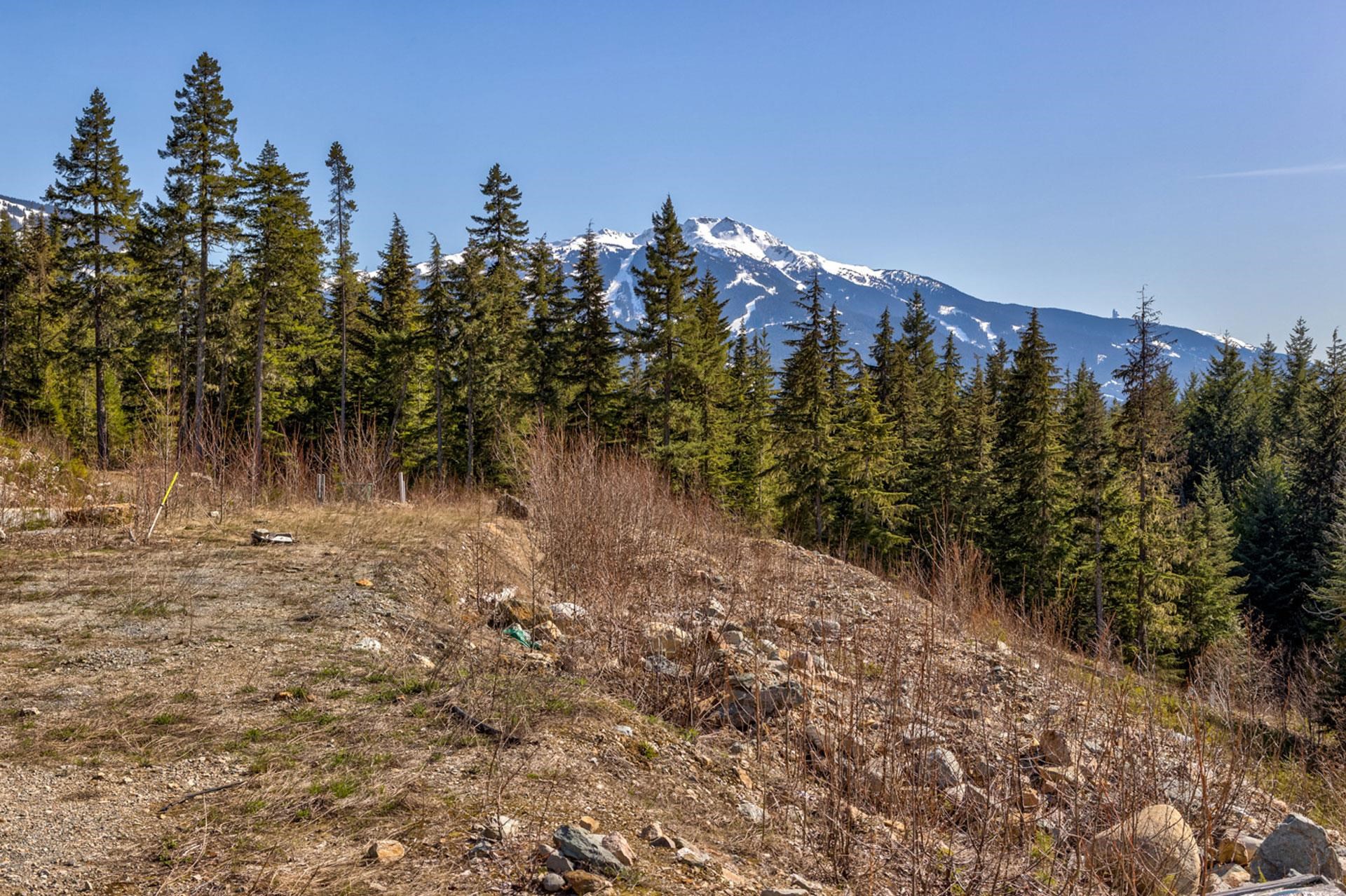 8421 SKI JUMP, Whistler, British Columbia, ,Land Only,For Sale,R2784258