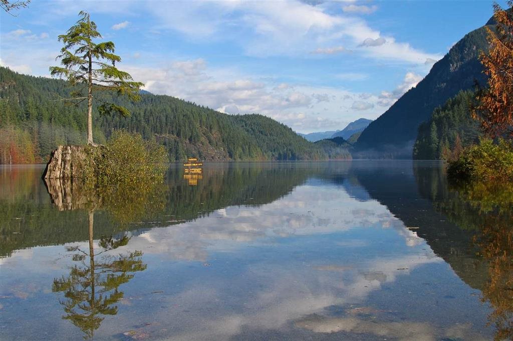 2982 SUNNYSIDE, Anmore, British Columbia, ,Land Only,For Sale,R2785214