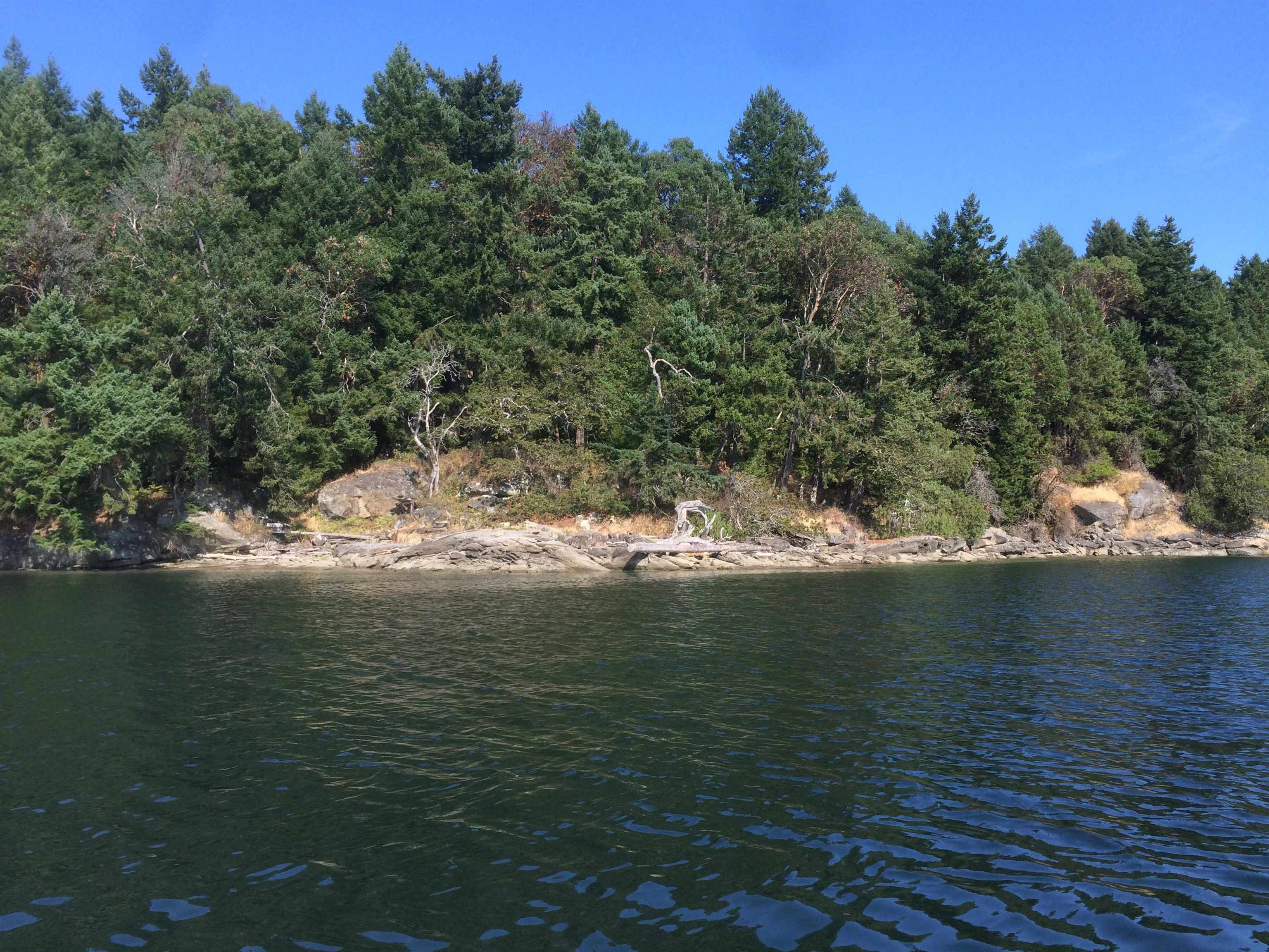 LOT 1 REID ISLAND, No City Value, British Columbia, 1 Bedroom Bedrooms, ,Residential Detached,For Sale,R2789298