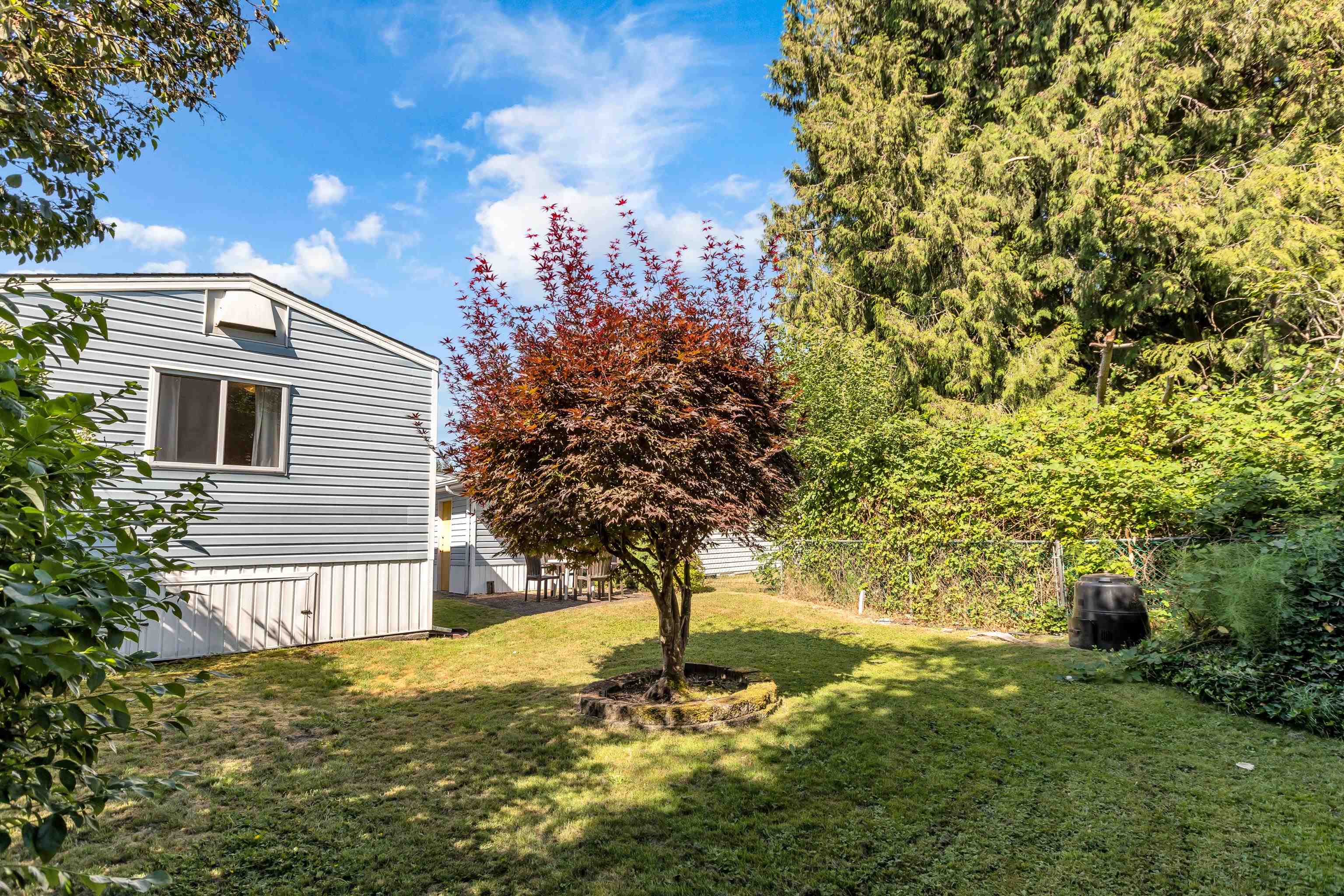 31-19707 POPLAR DRIVE, Pitt Meadows, British Columbia, 2 Bedrooms Bedrooms, ,1 BathroomBathrooms,Residential Detached,For Sale,R2801419