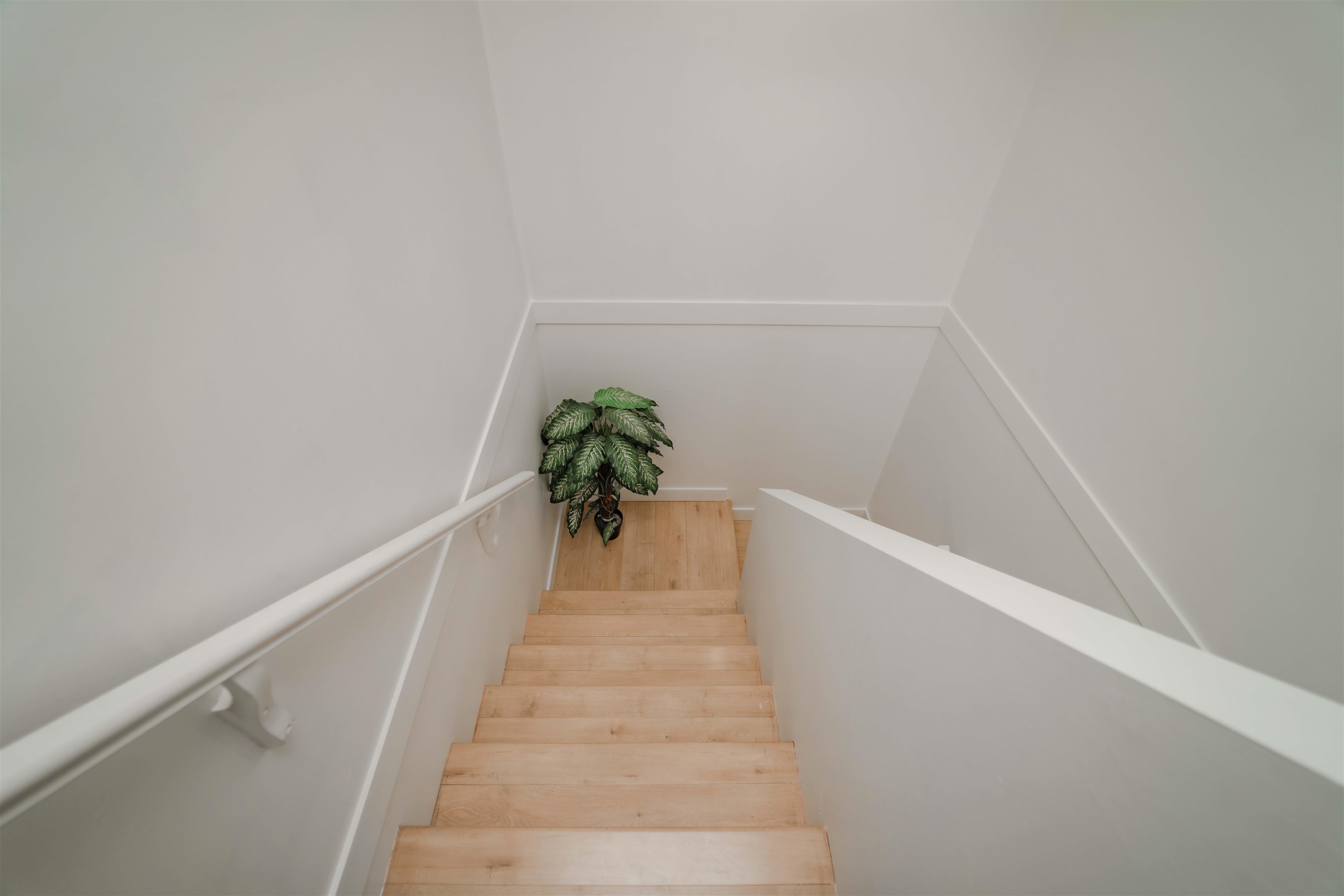 Michael Sung, 27-31235 UPPER MACLURE ROAD, Abbotsford, British Columbia, 3 Bedrooms, 4 Bathrooms, Residential Attached,For Sale ,R2802095