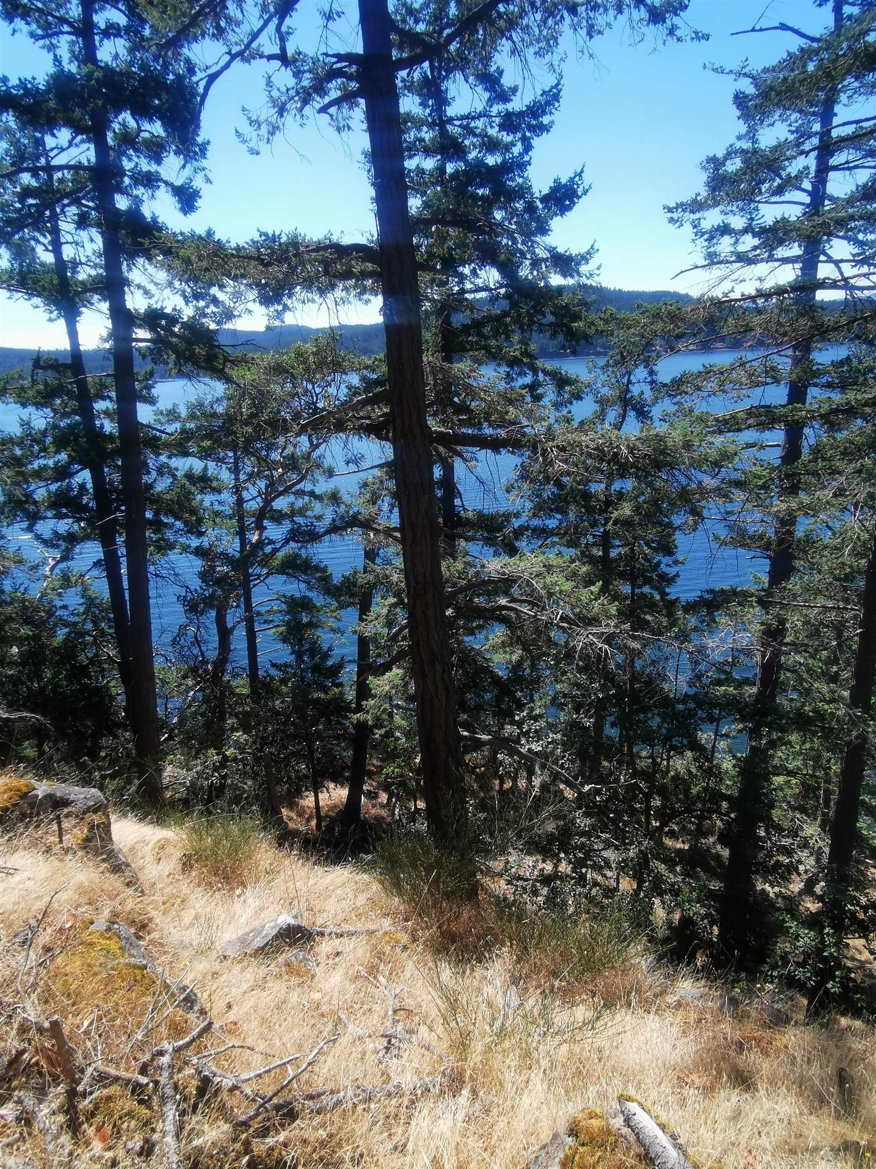 LOT 9 BEECHWOOD, Mayne Island, British Columbia, ,Land Only,For Sale,R2809870