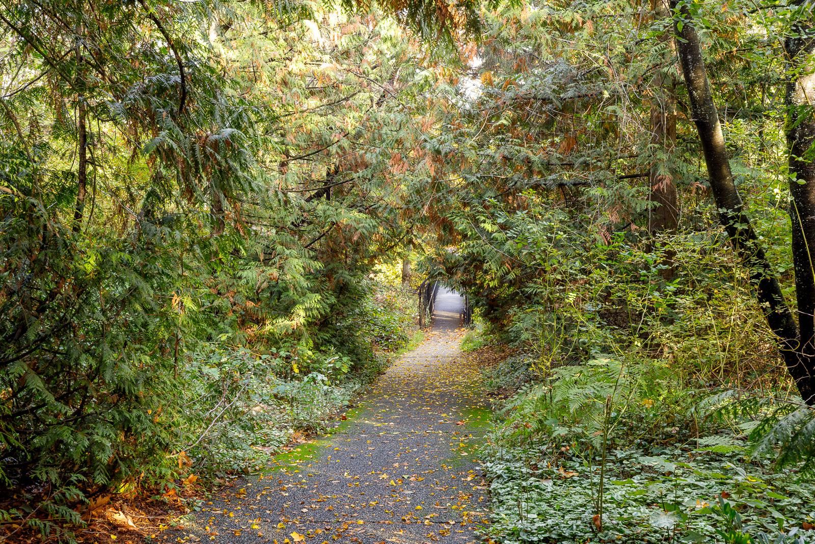 3653 Brahms Avenue, Vancouver 36