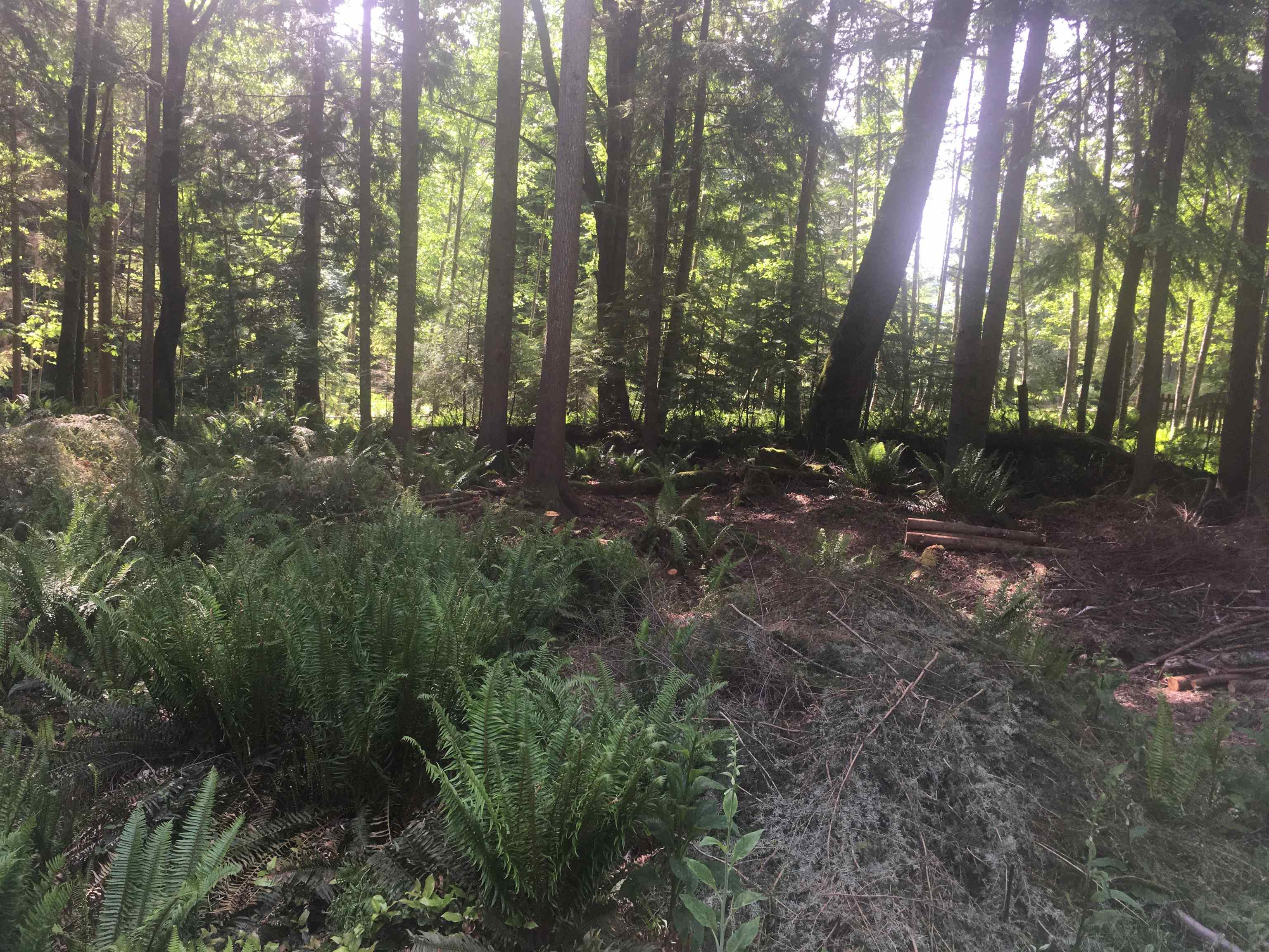 Lot 8 MOUNTAIN, Gambier Island, British Columbia , Land Only,For Sale, MLS-R2842885