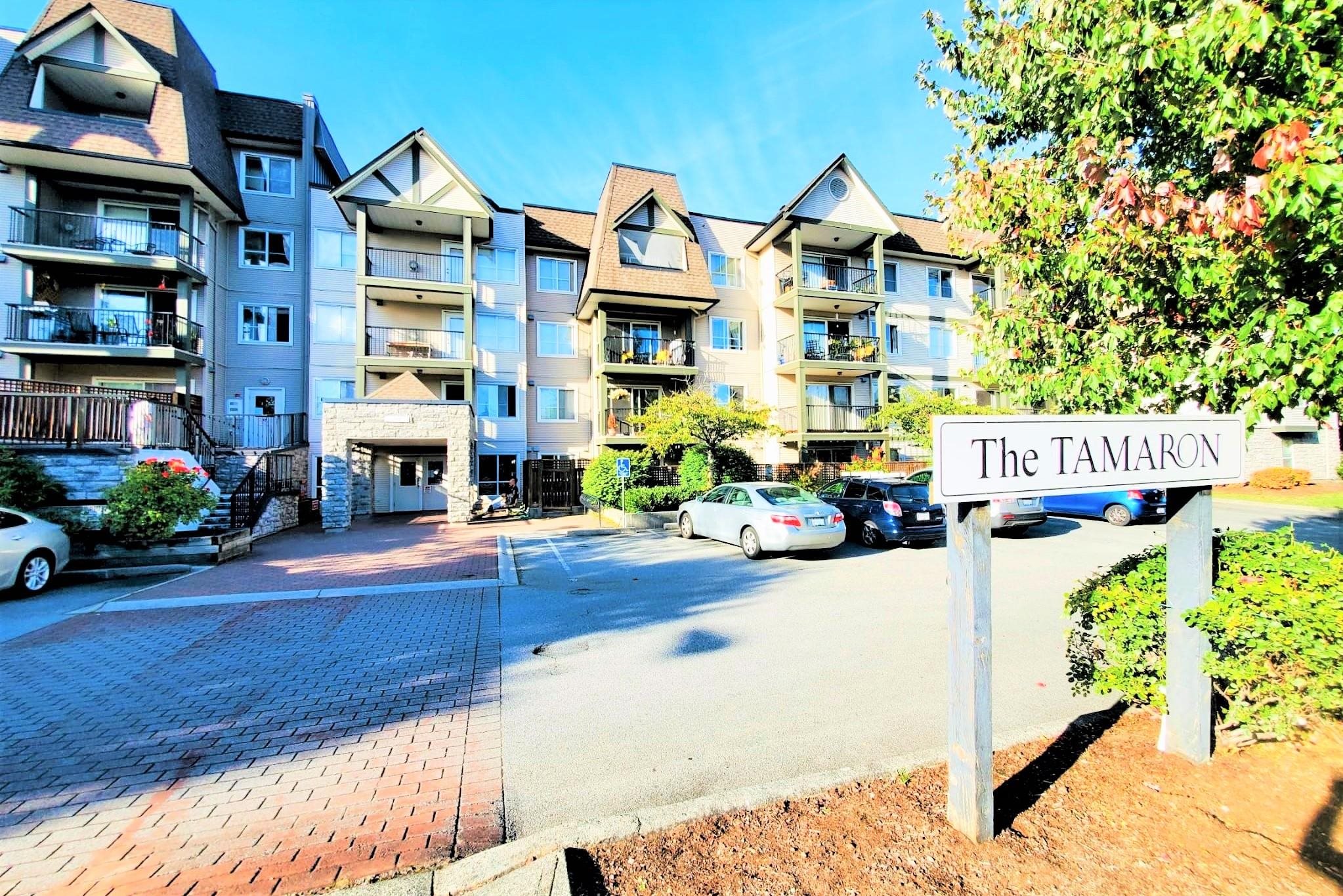 219-12083 92A AVENUE, Surrey, British Columbia, 2 Bedrooms Bedrooms, ,2 BathroomsBathrooms,Residential Attached,For Sale,R2847276