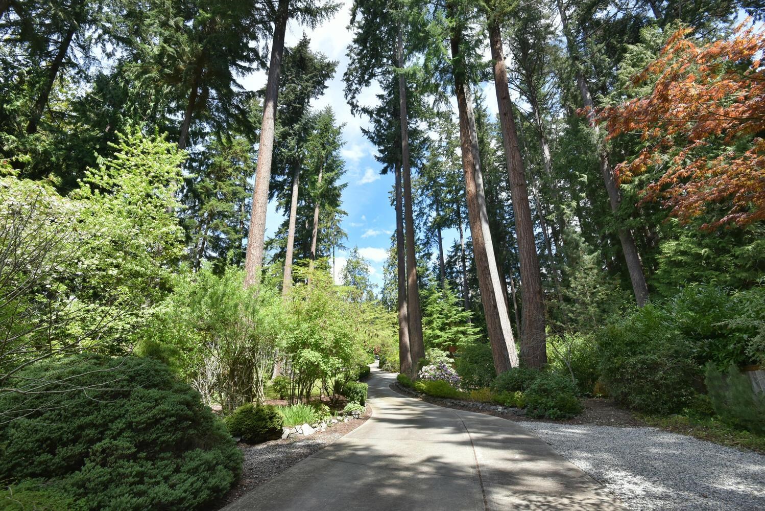 Lovely private driveway access, manicured gardens, tall trees and gated, secured access.