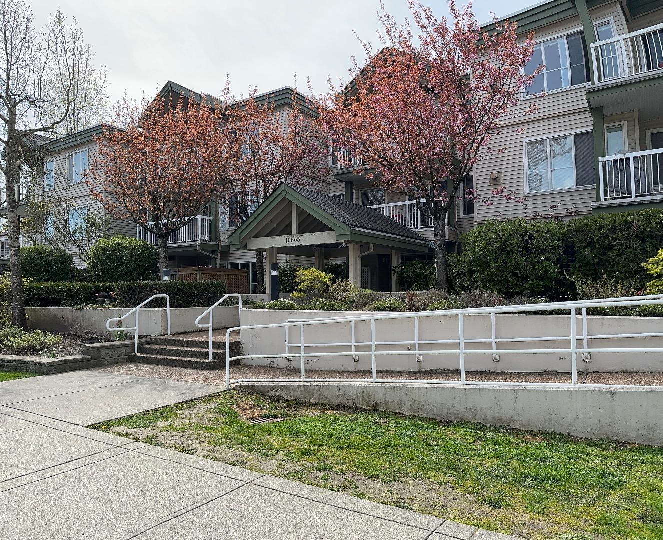 308-10665 139 STREET, Surrey, British Columbia, 3 Bedrooms Bedrooms, ,2 BathroomsBathrooms,Residential Attached,For Sale,R2868061