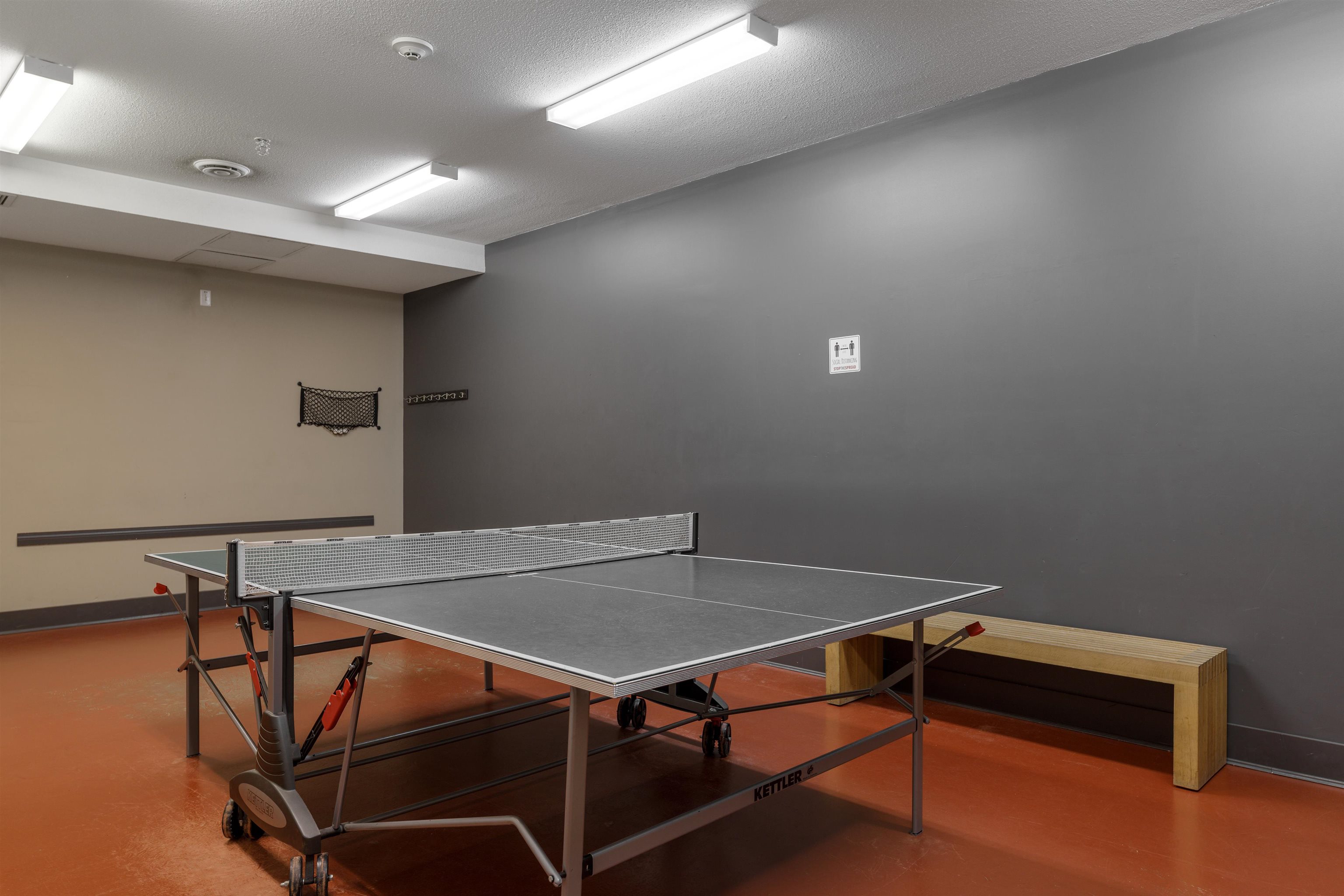 Challenge your friends to a round of ping pong