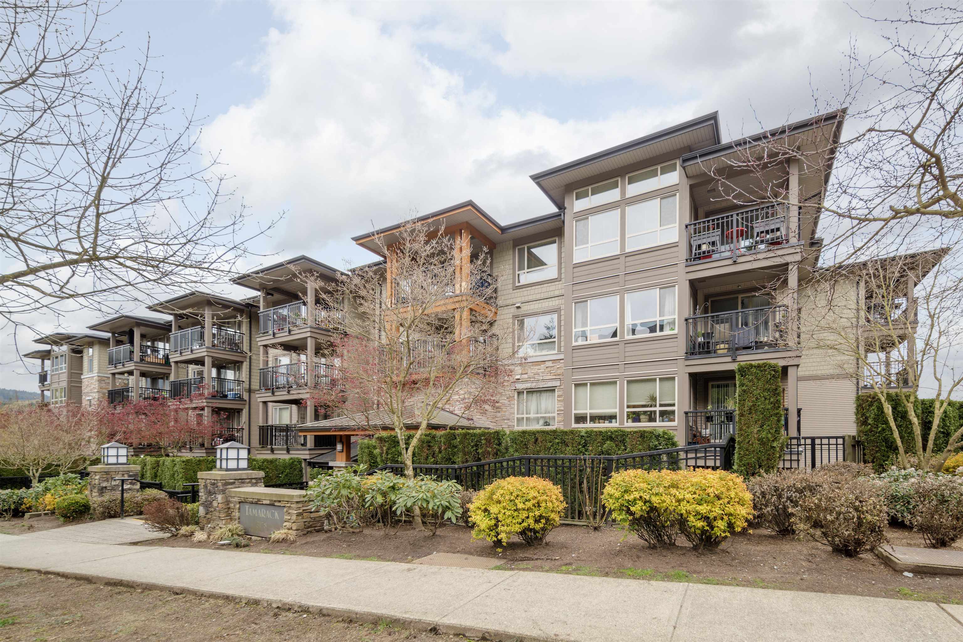 218-3178 DAYANEE SPRINGS BOULEVARD, Coquitlam, British Columbia, 2 Bedrooms Bedrooms, ,2 BathroomsBathrooms,Residential Attached,For Sale,R2870719