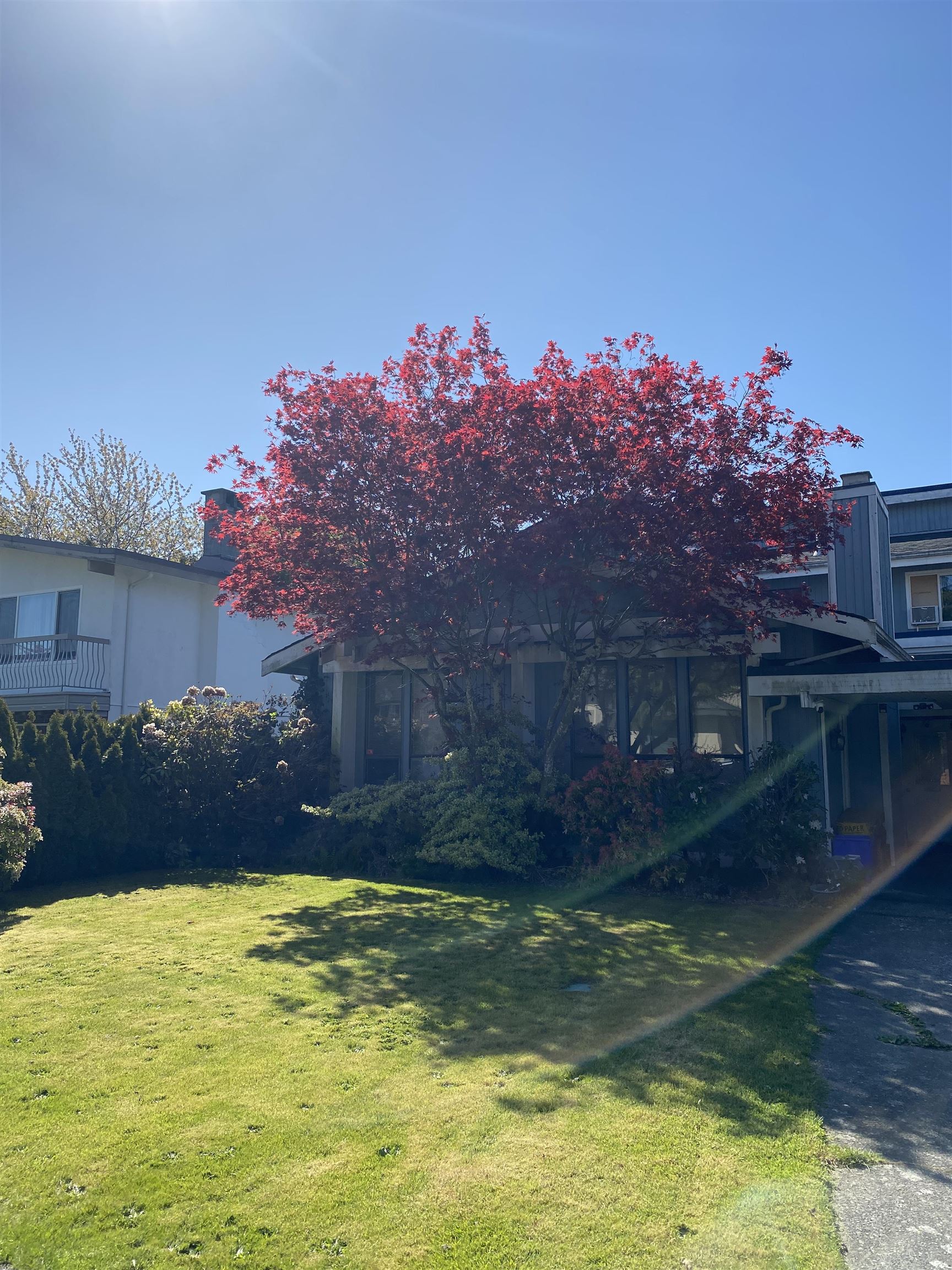 6700 GAINSBOROUGH DRIVE, Richmond, British Columbia, 3 Bedrooms Bedrooms, ,3 BathroomsBathrooms,Residential Detached,For Sale,R2873269