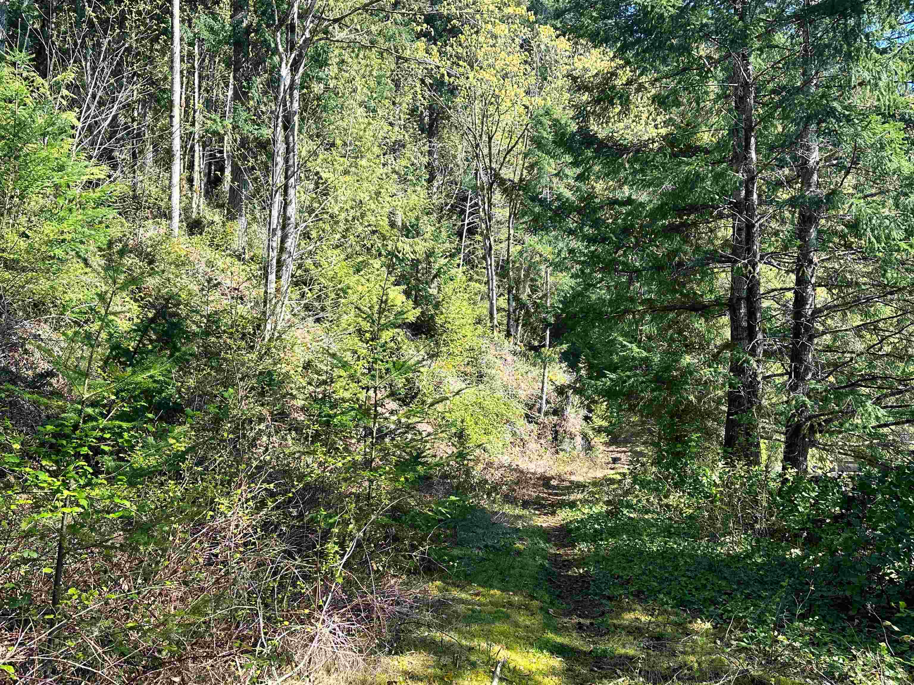 Listing image of DL 4055 E DARK COVE JERVIS ROAD