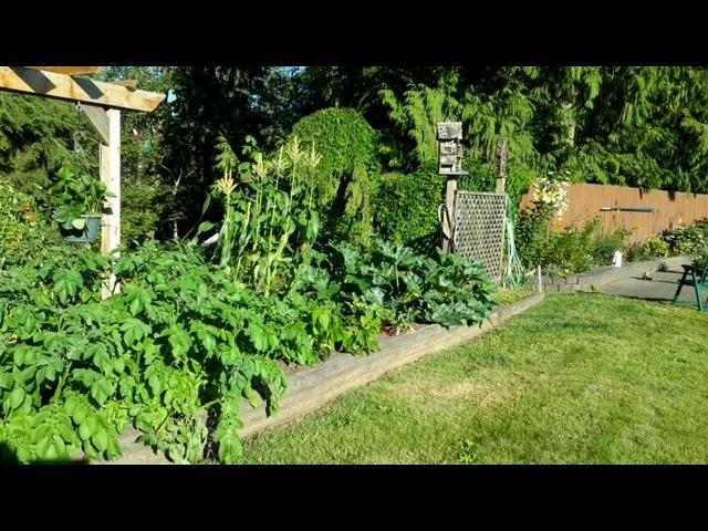 4544 HITCHINGPOST, British Columbia V2Z 1J6, 4 Bedrooms Bedrooms, ,3 BathroomsBathrooms,Residential Detached,For Sale,HITCHINGPOST,R2877338