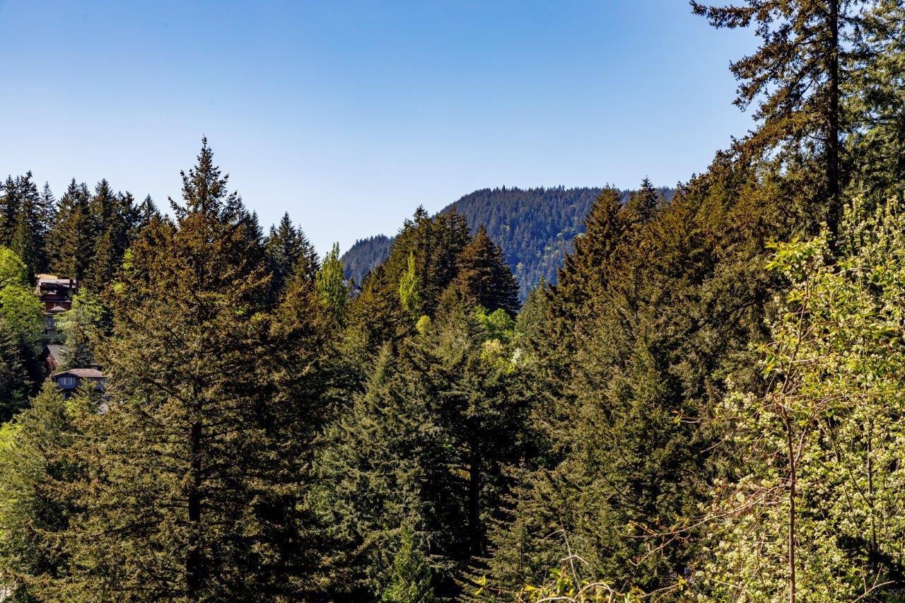 Listing image of 342 CREEK ROAD
