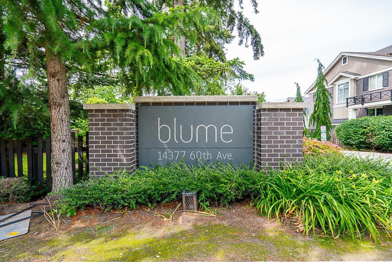 11 14377 60 Avenue, Surrey, Sullivan Station, V3X 0E2 22