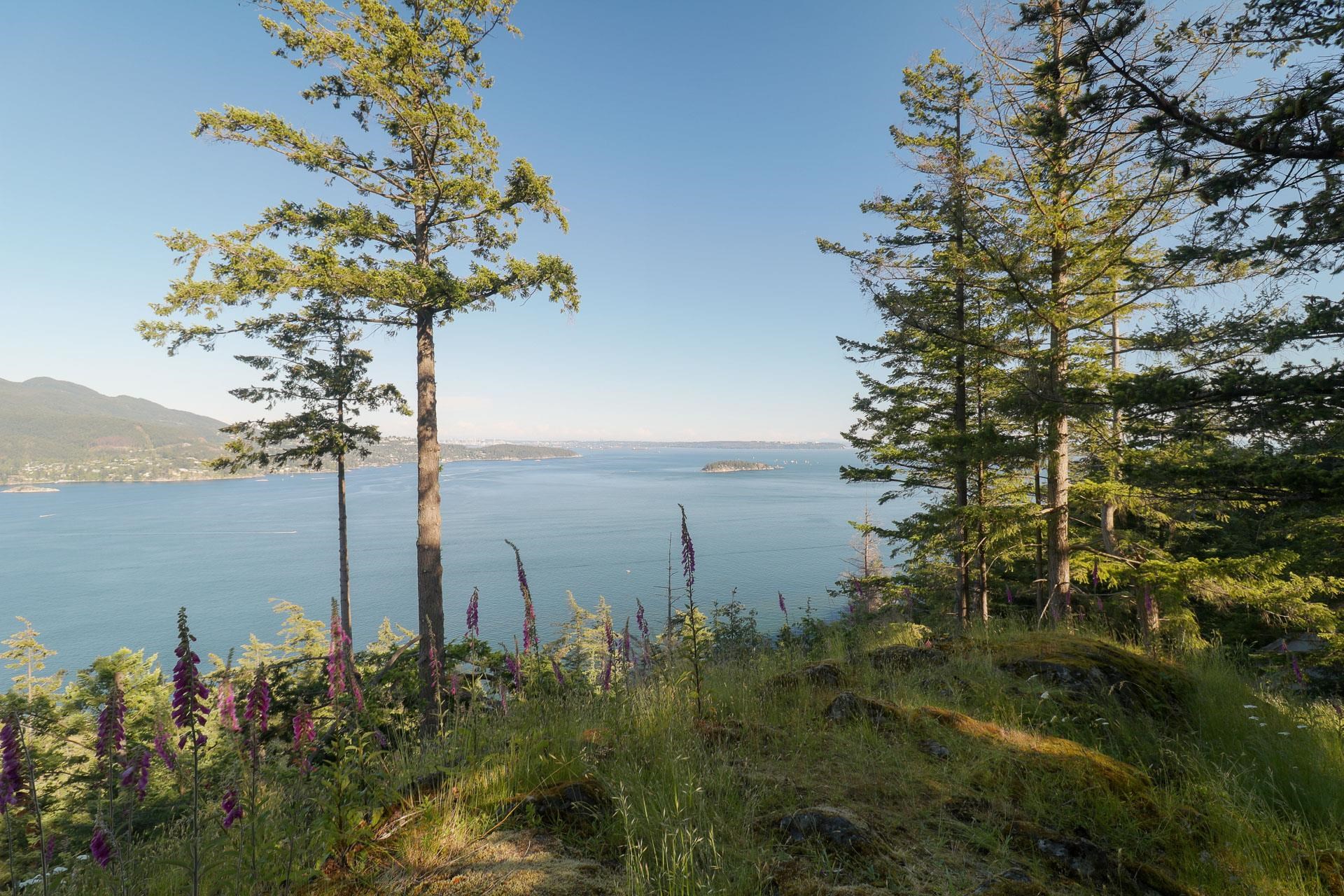Listing image of 801 VALHALLA PLACE