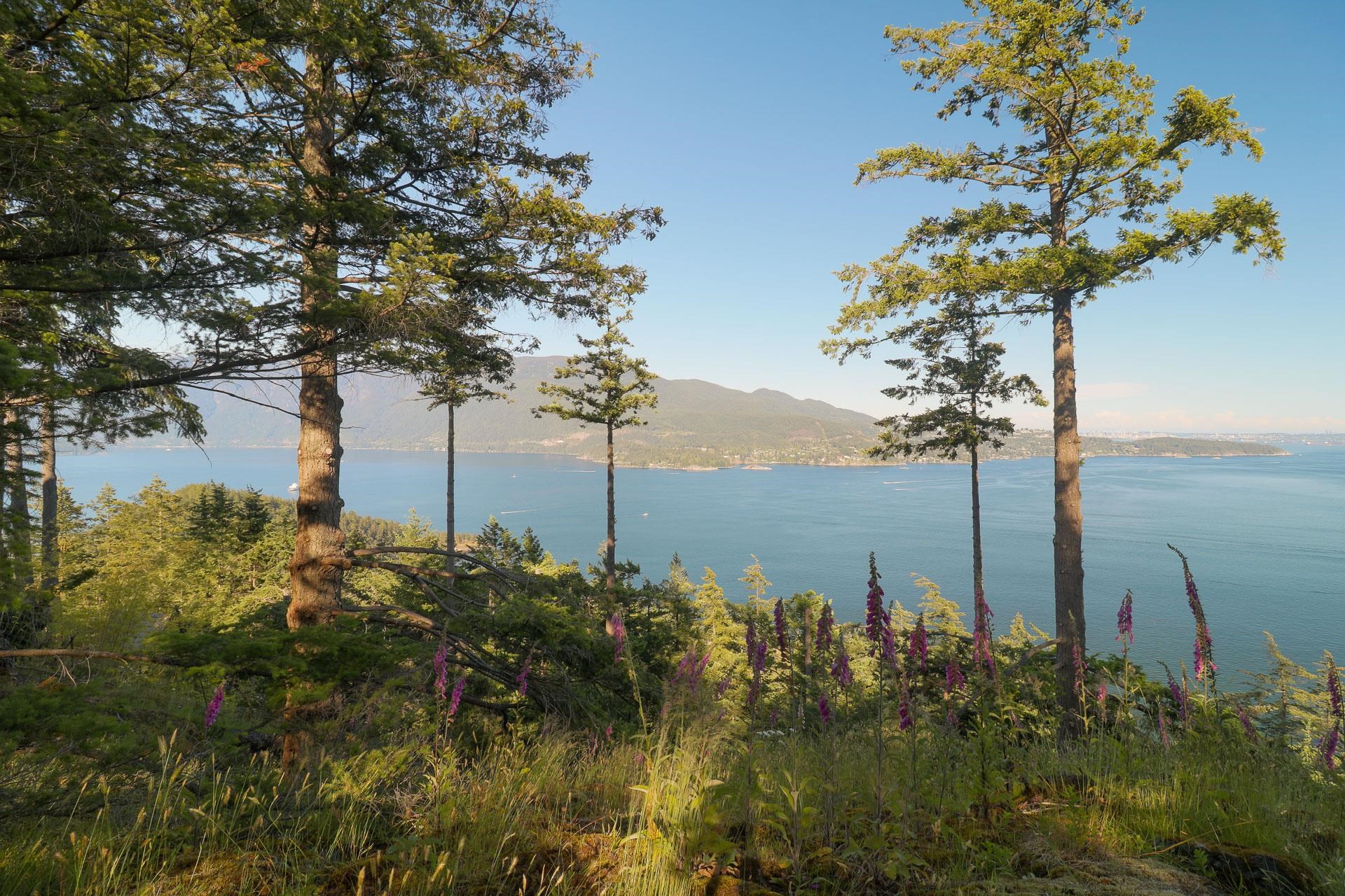Listing image of 801 VALHALLA PLACE