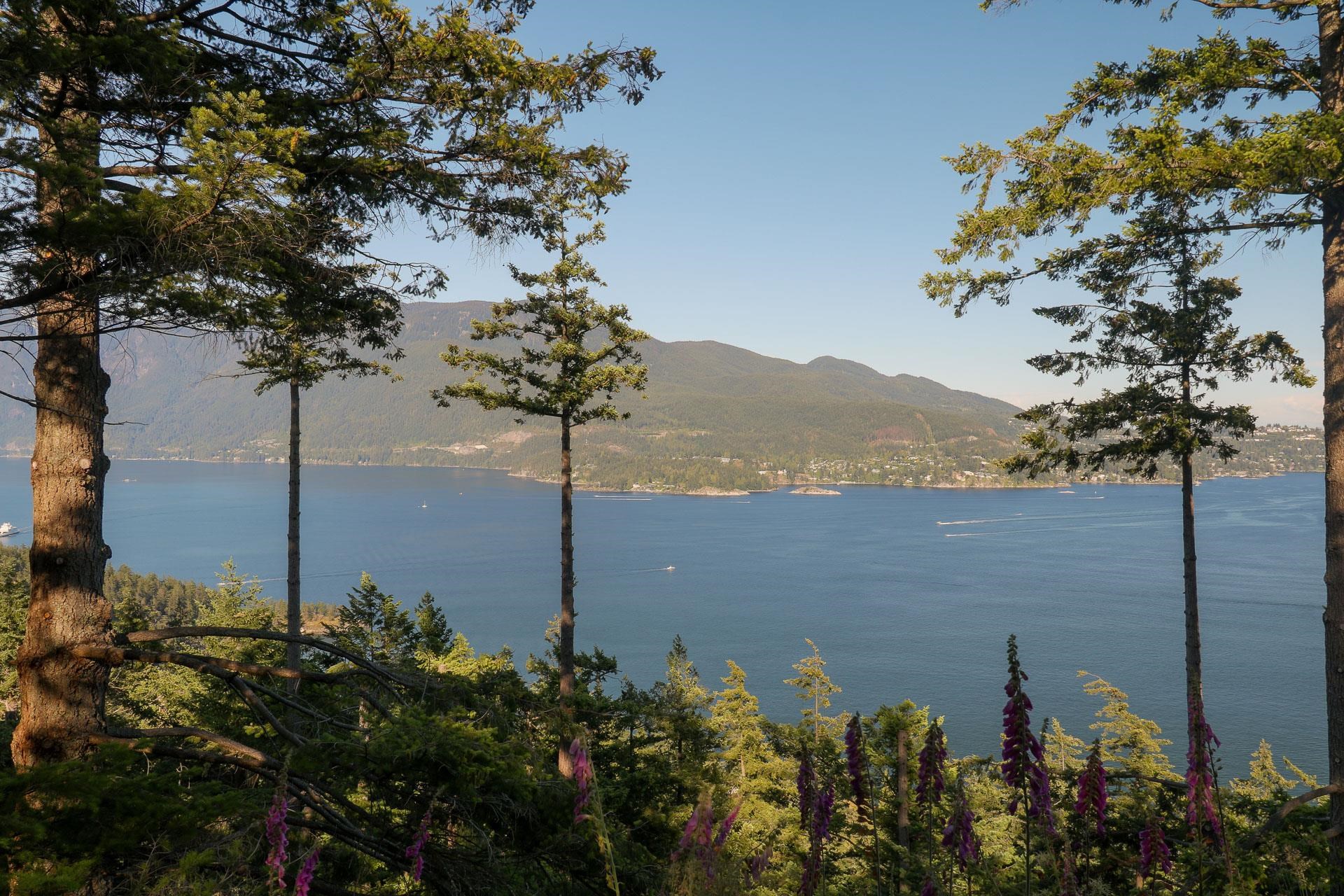 Listing image of 801 VALHALLA PLACE