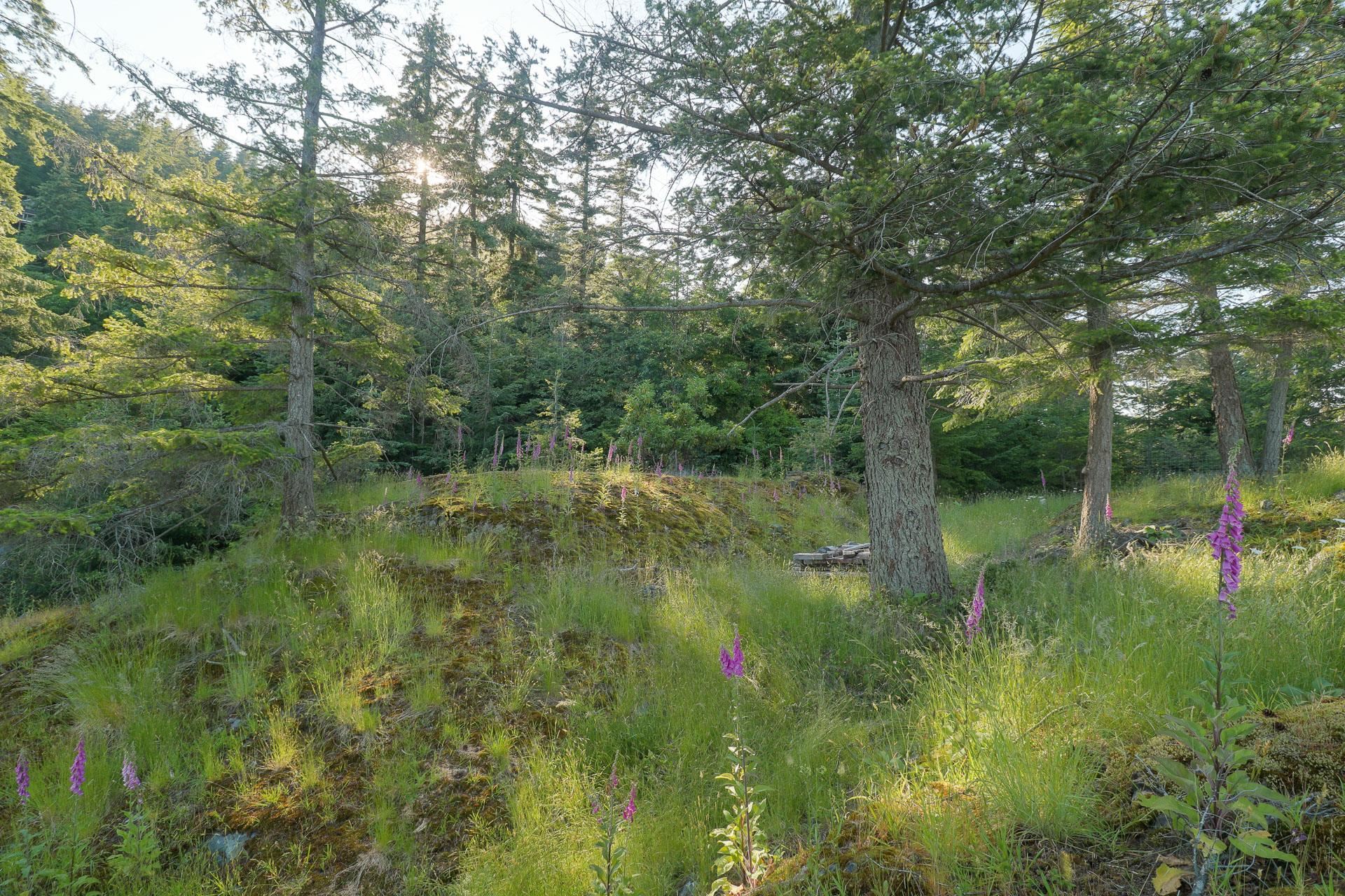 Listing image of 801 VALHALLA PLACE