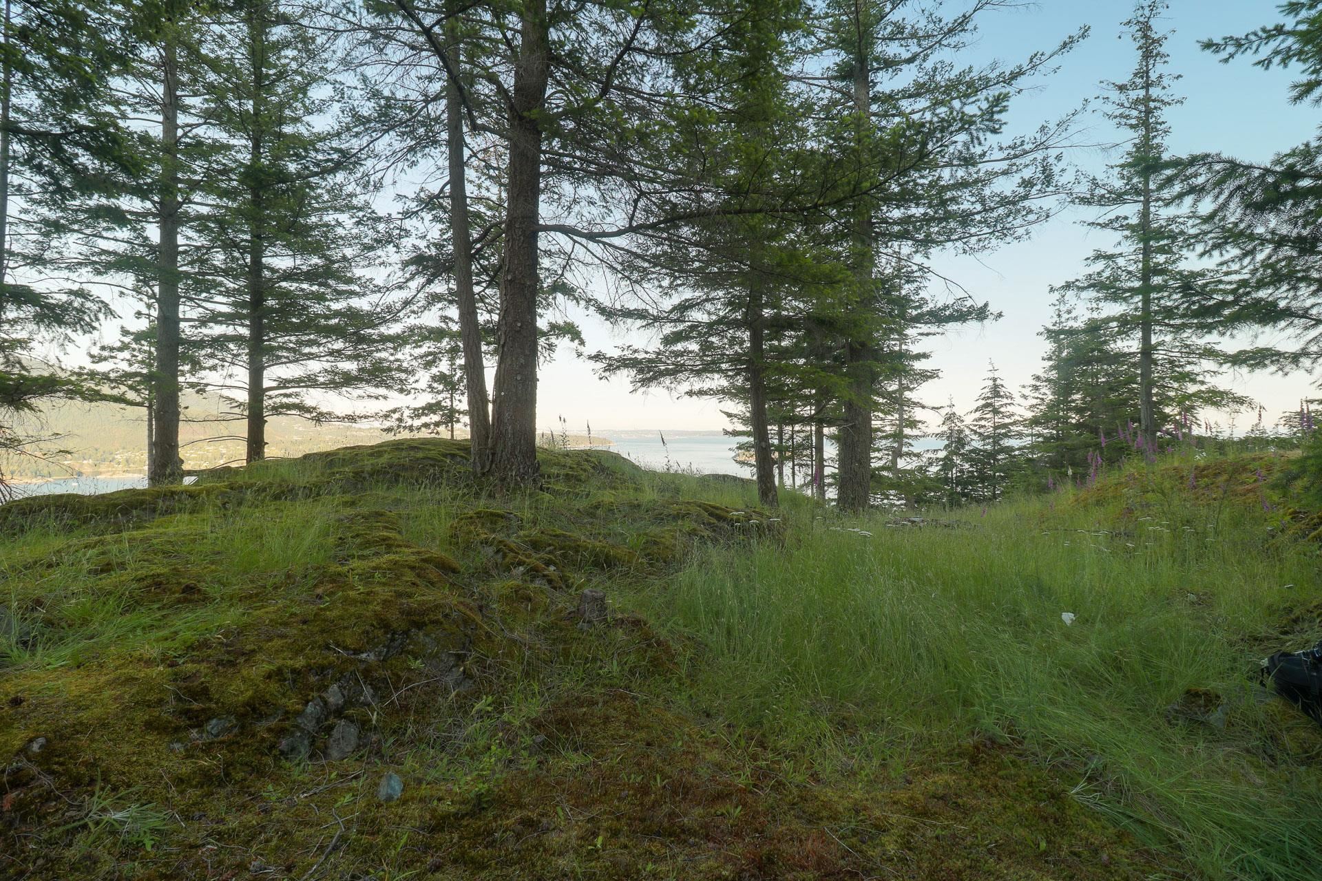 Listing image of 801 VALHALLA PLACE