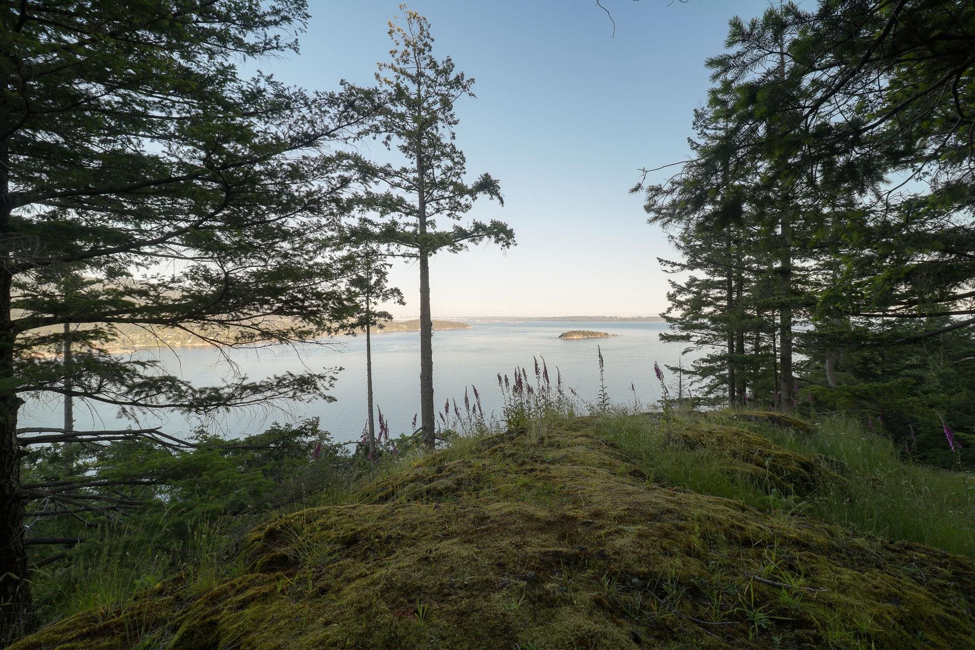 Listing image of 801 VALHALLA PLACE