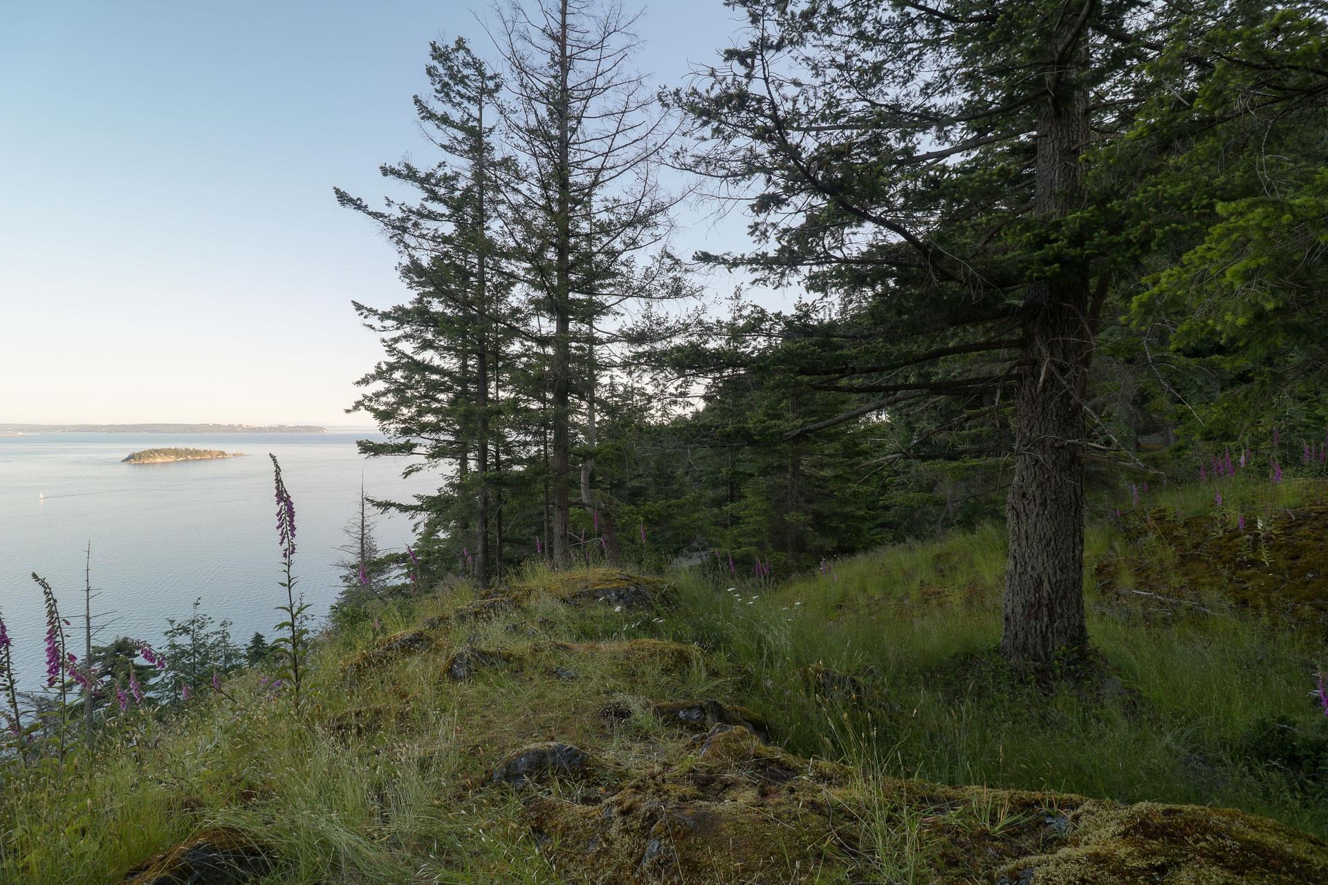 Listing image of 801 VALHALLA PLACE