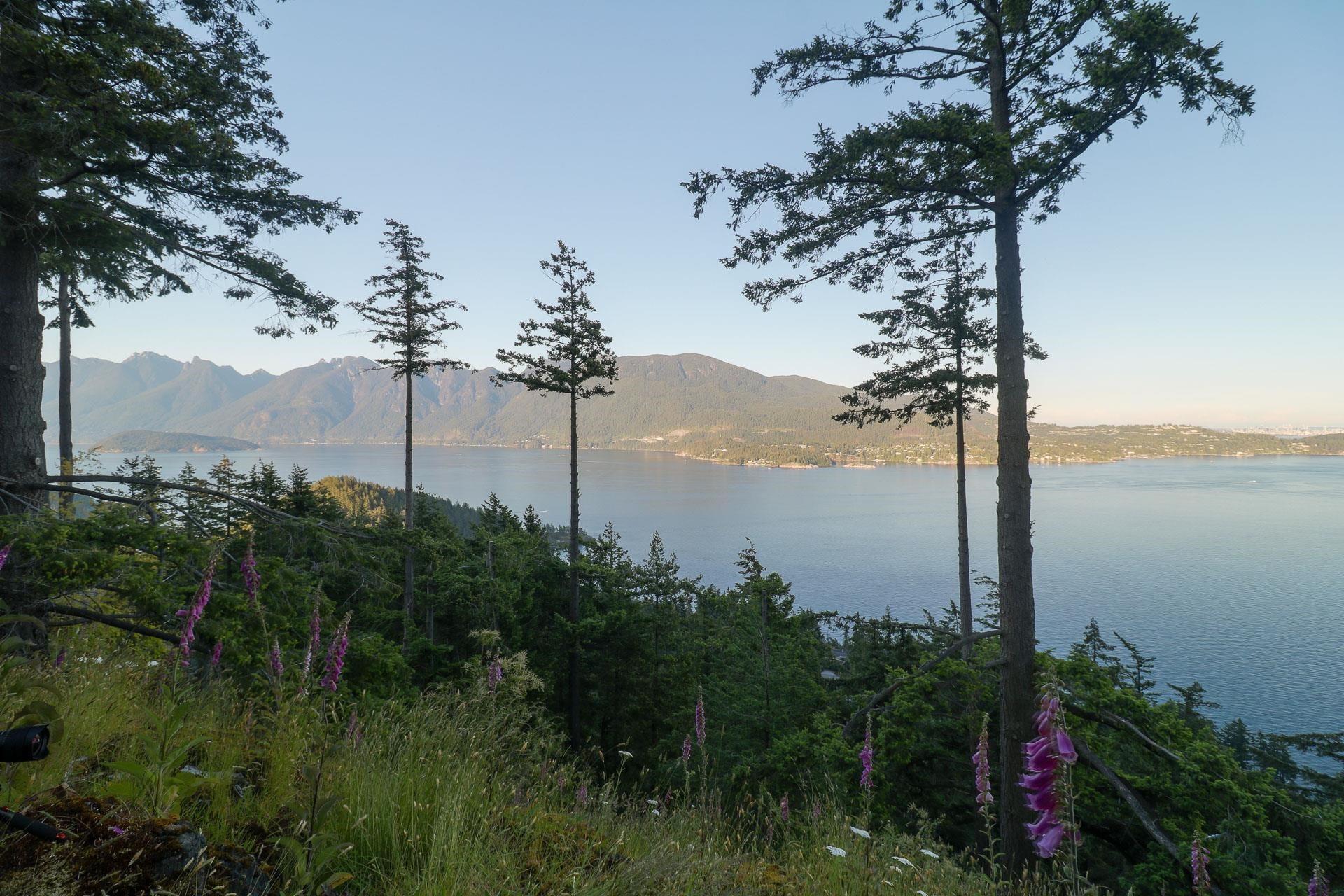 Listing image of 801 VALHALLA PLACE