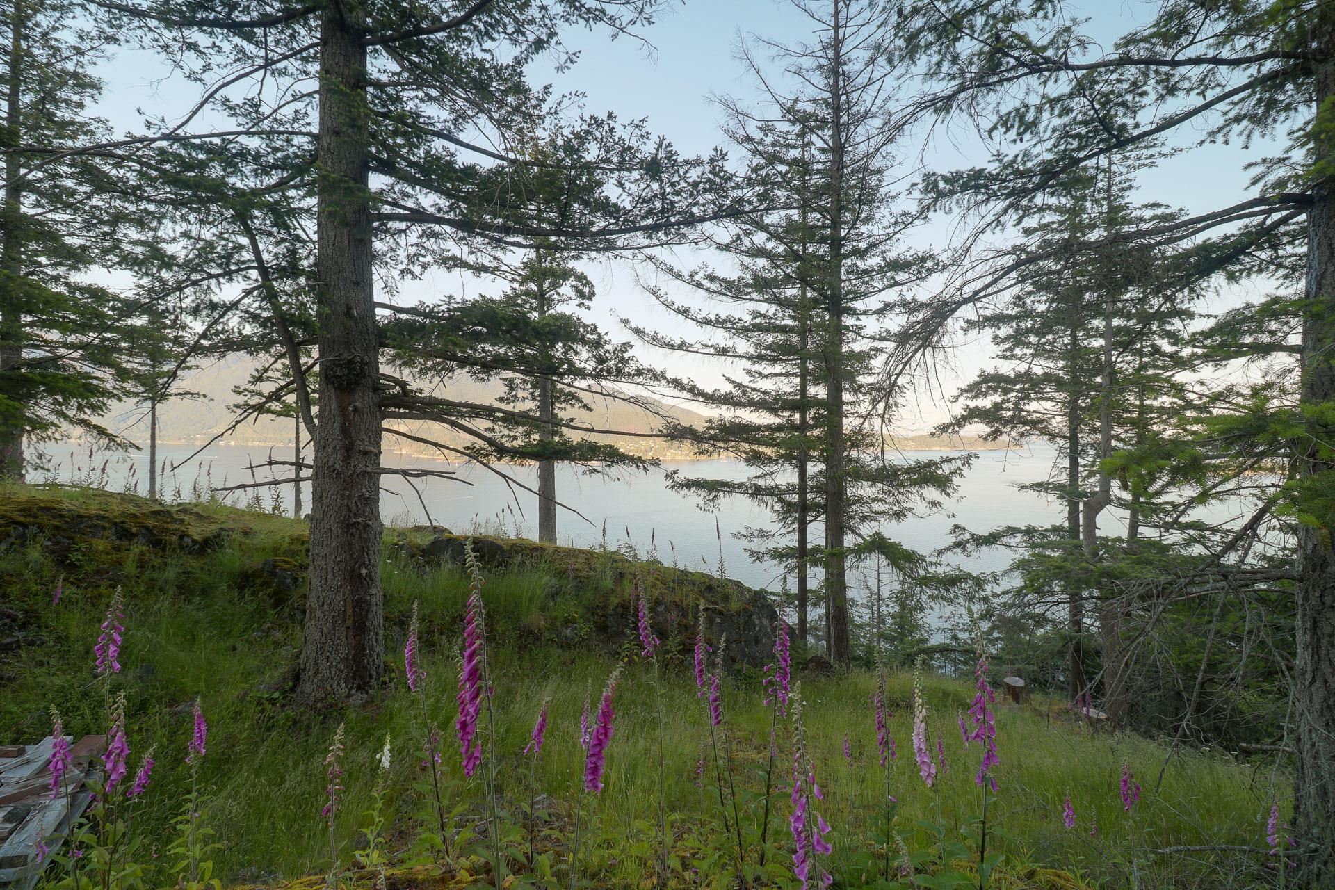 Listing image of 801 VALHALLA PLACE