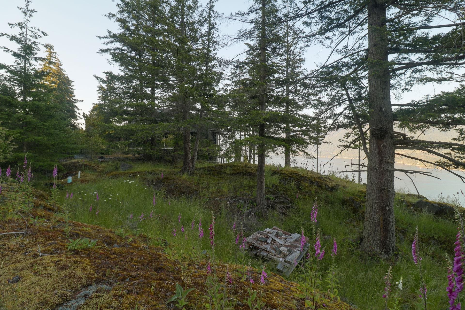 Listing image of 801 VALHALLA PLACE