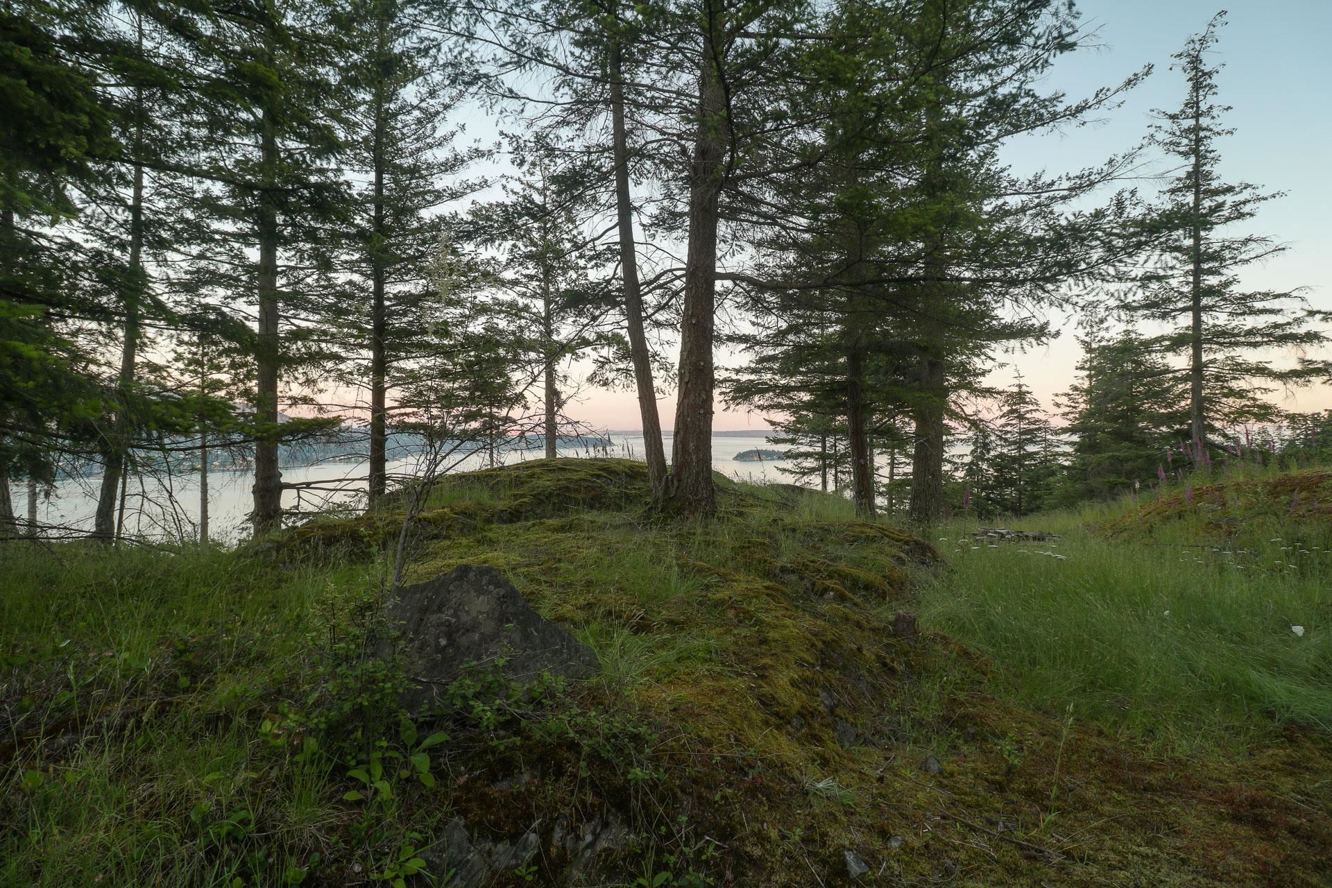 Listing image of 801 VALHALLA PLACE