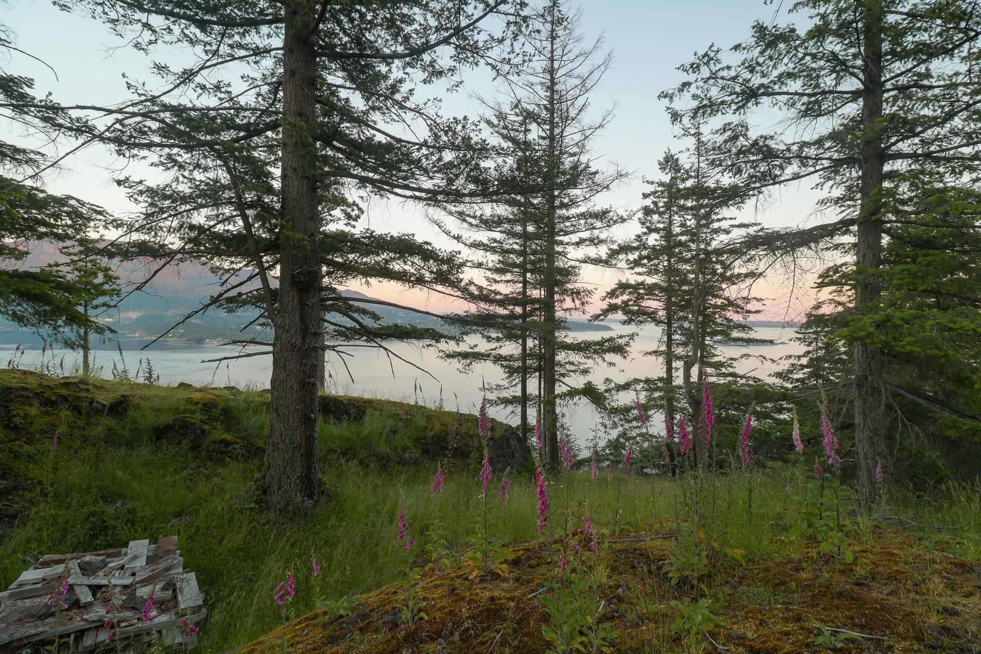 Listing image of 801 VALHALLA PLACE