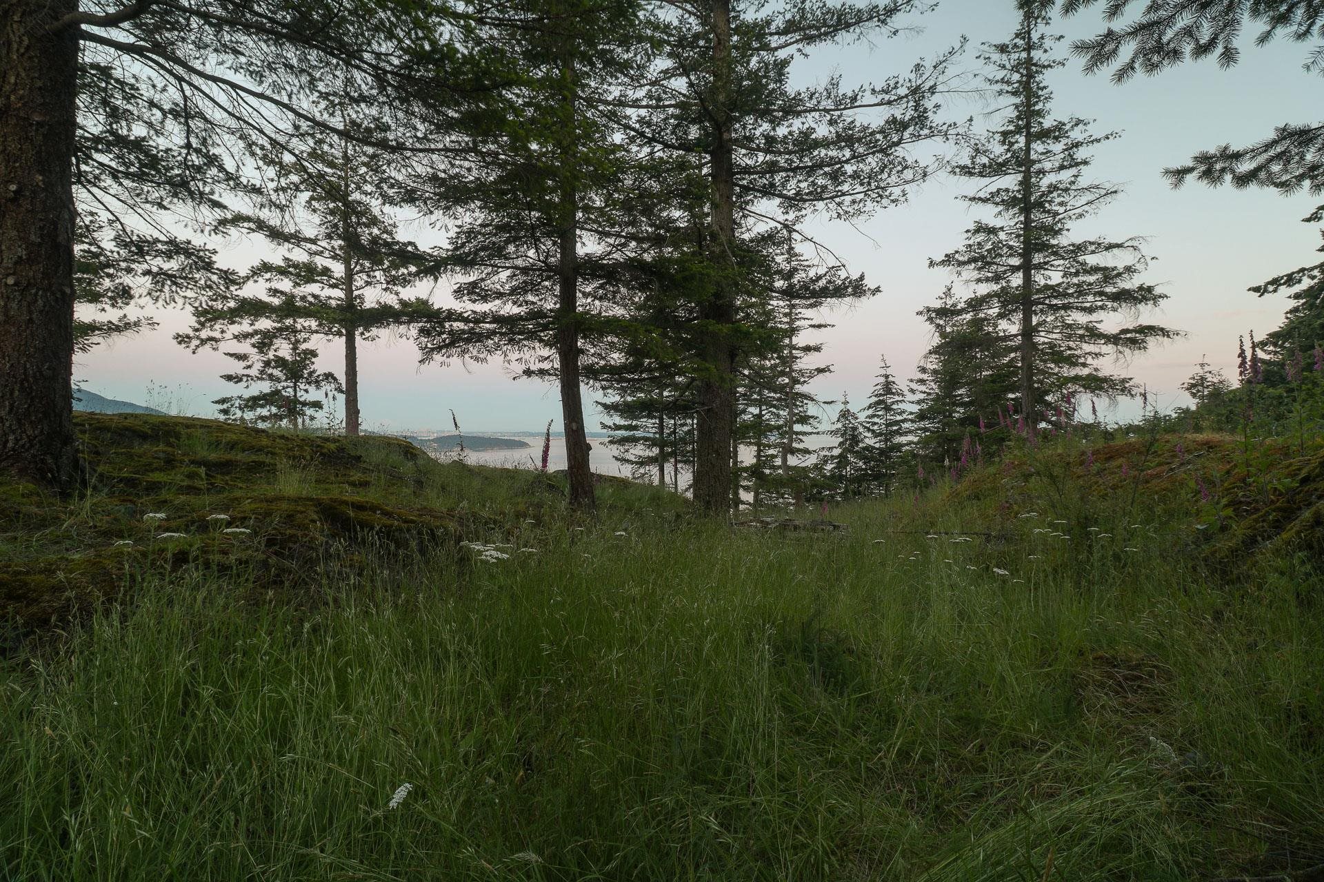 Listing image of 801 VALHALLA PLACE