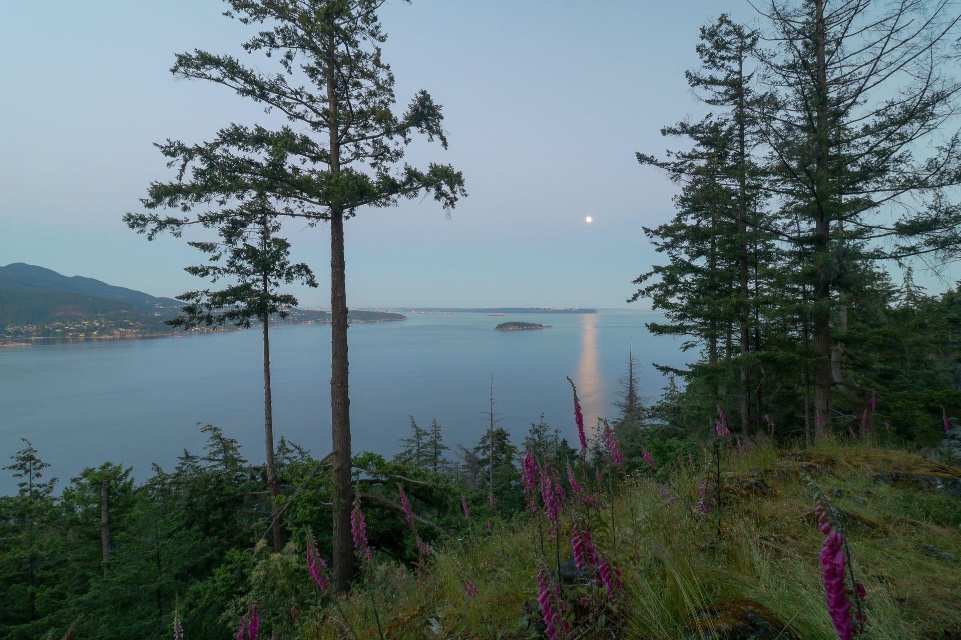 Listing image of 801 VALHALLA PLACE