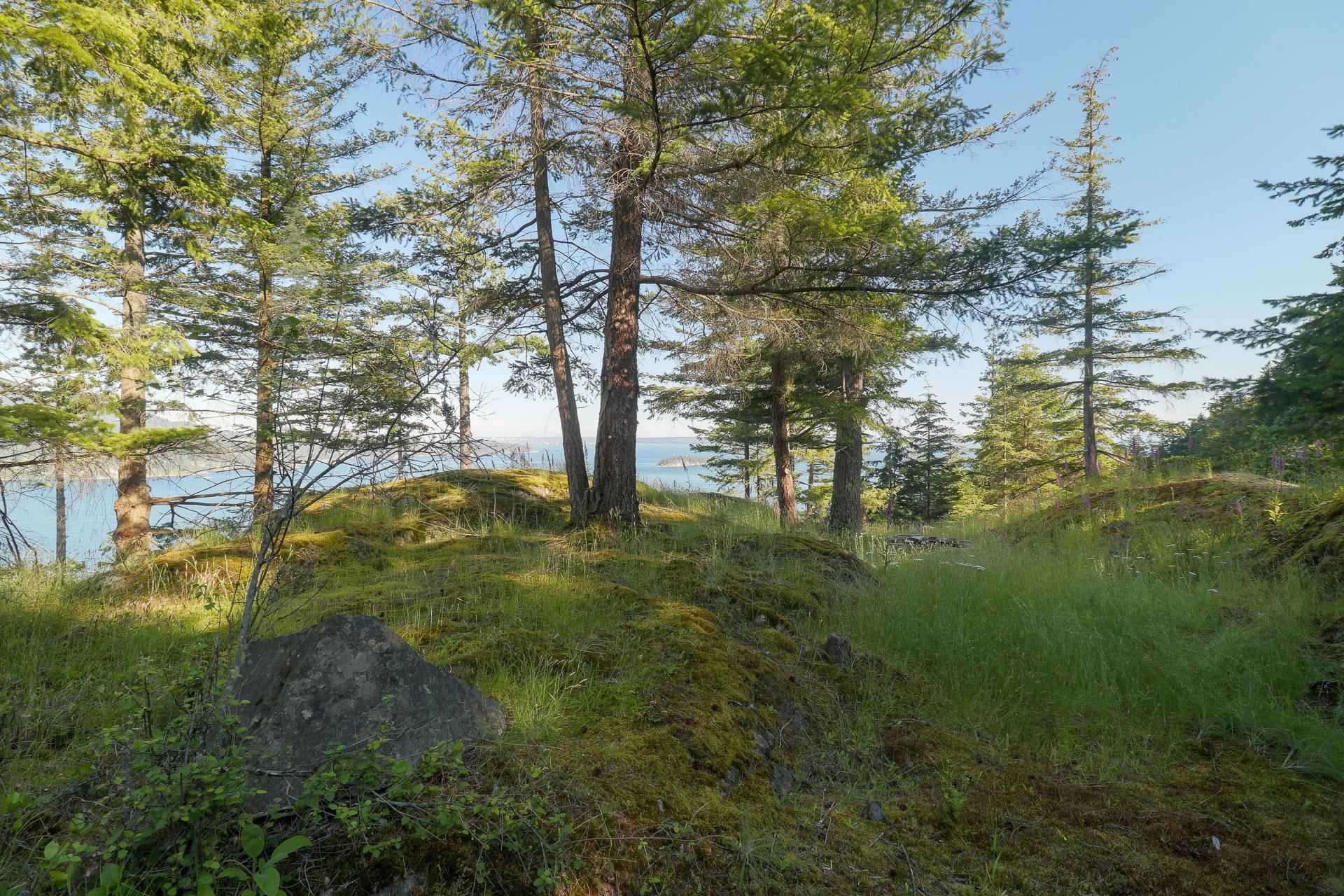 Listing image of 801 VALHALLA PLACE